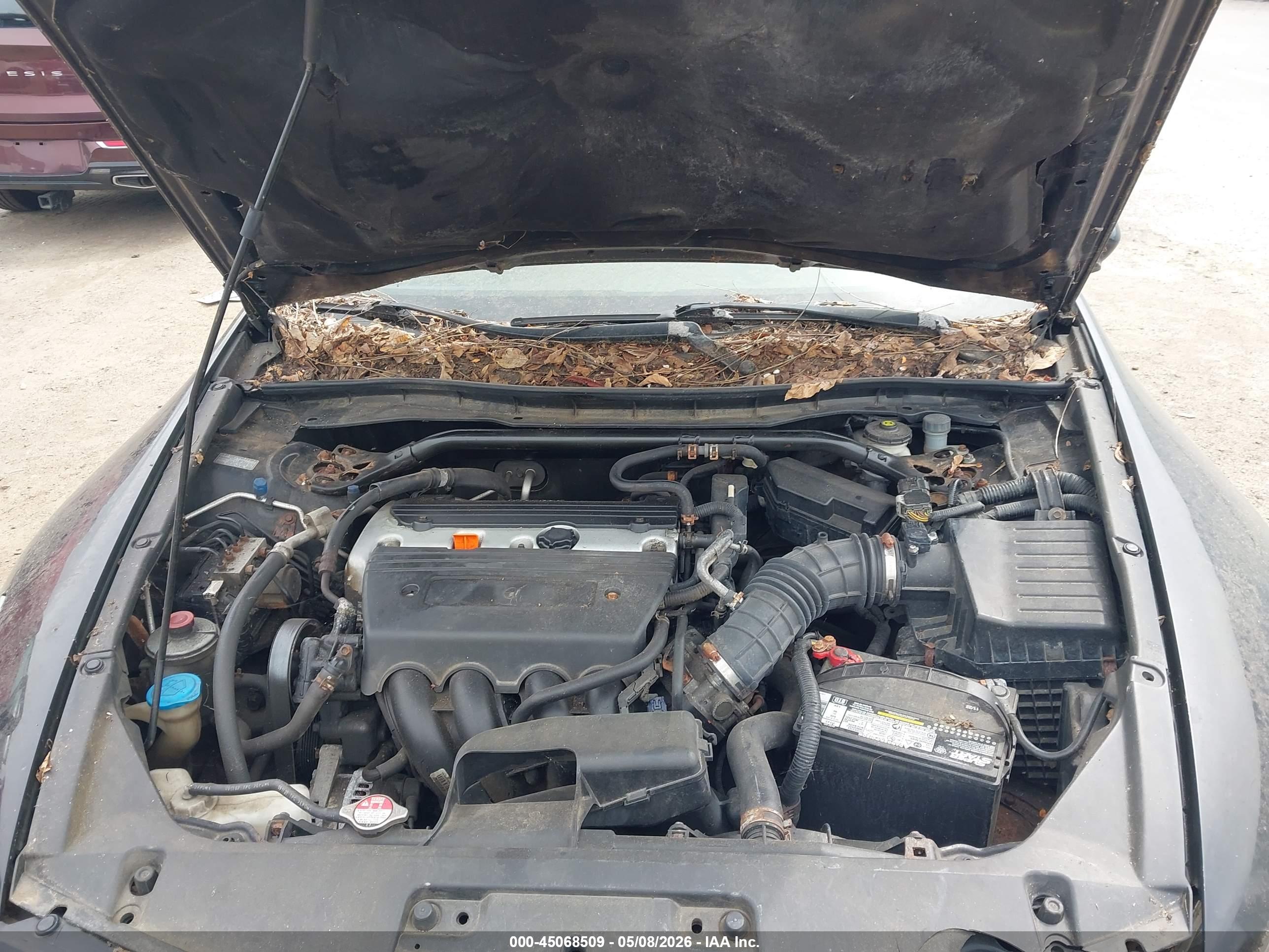 HONDA ACCORD image 10