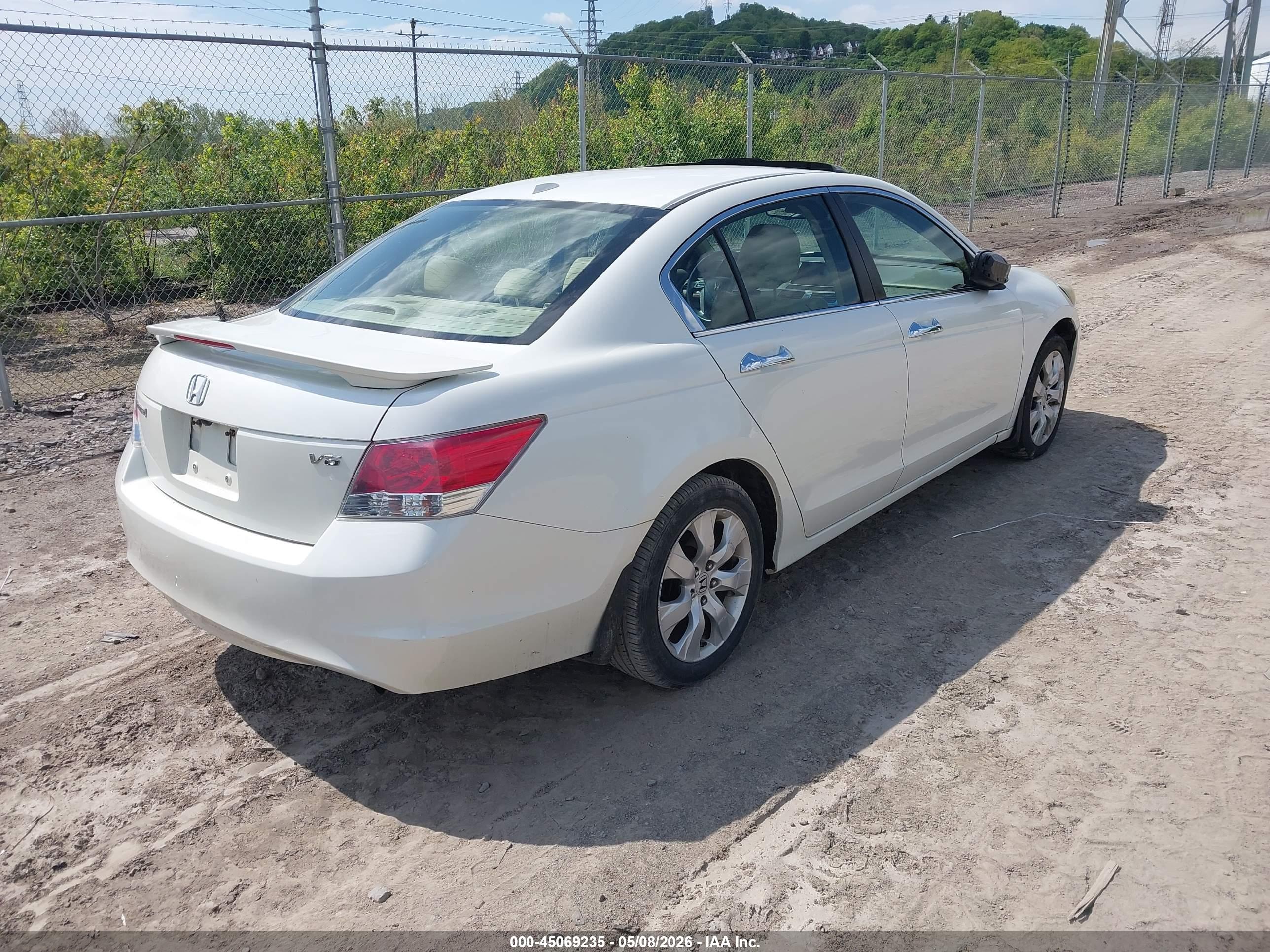 HONDA ACCORD image 4