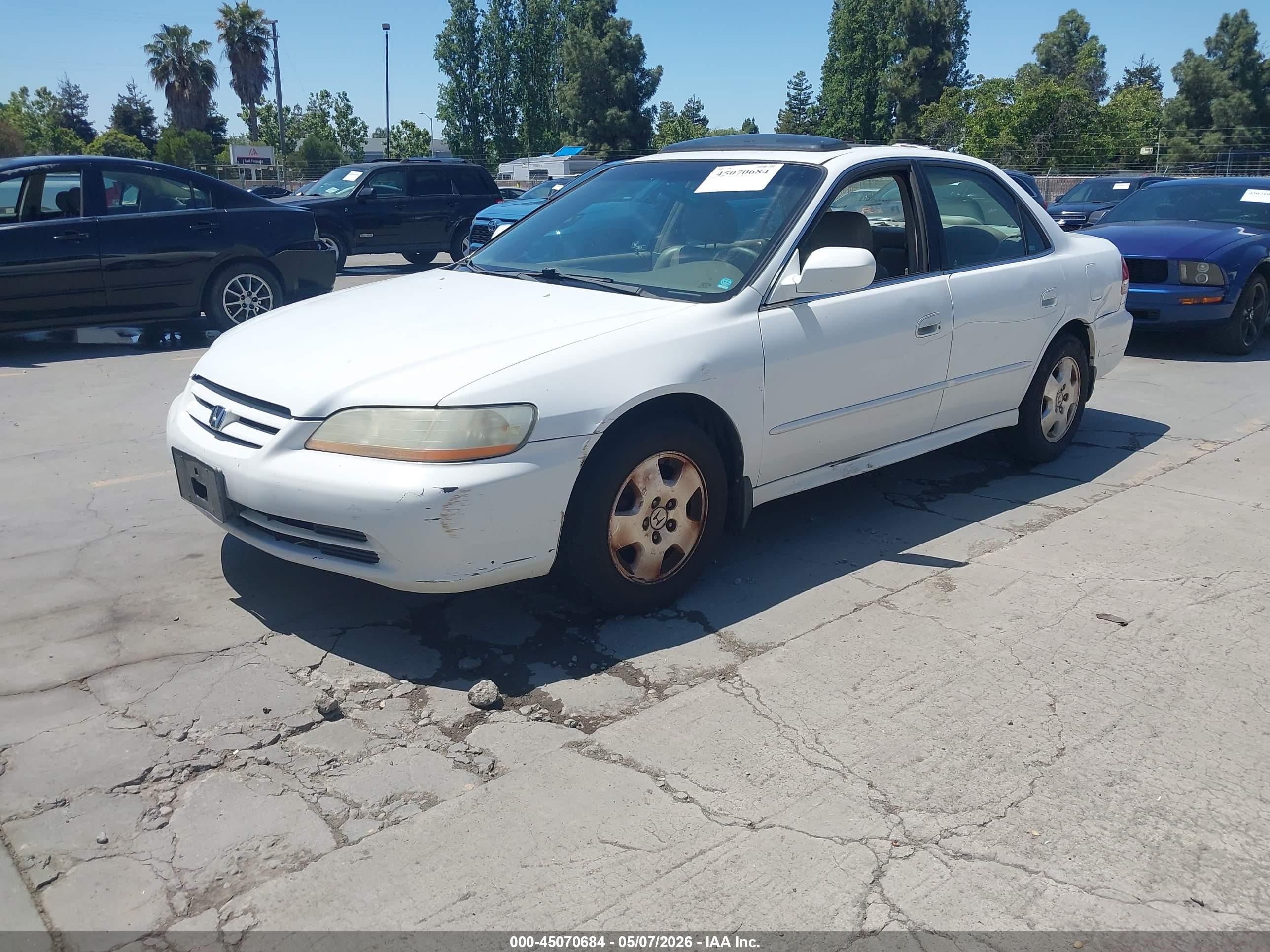 HONDA ACCORD image 2