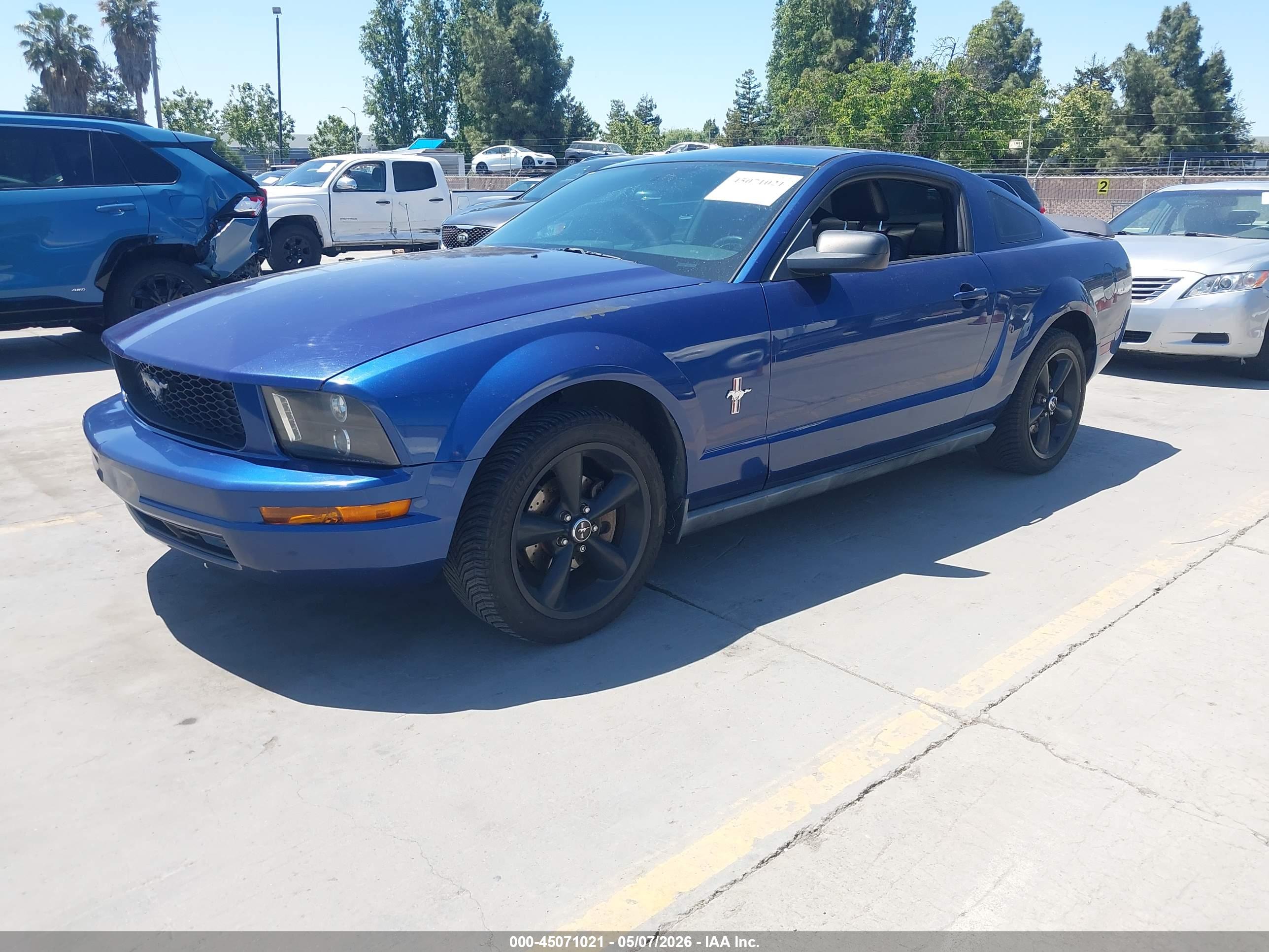 FORD MUSTANG image 2
