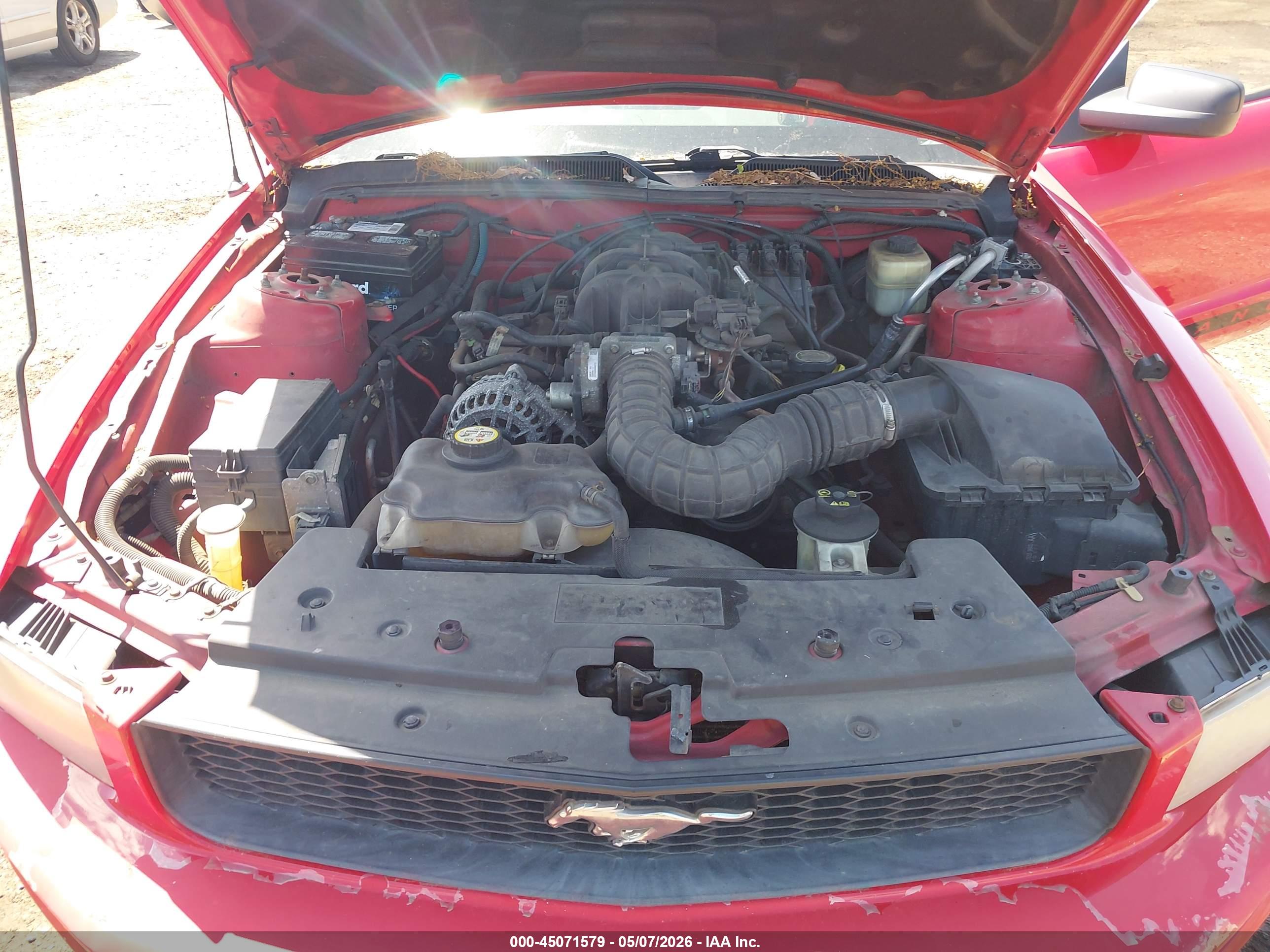 FORD MUSTANG image 10