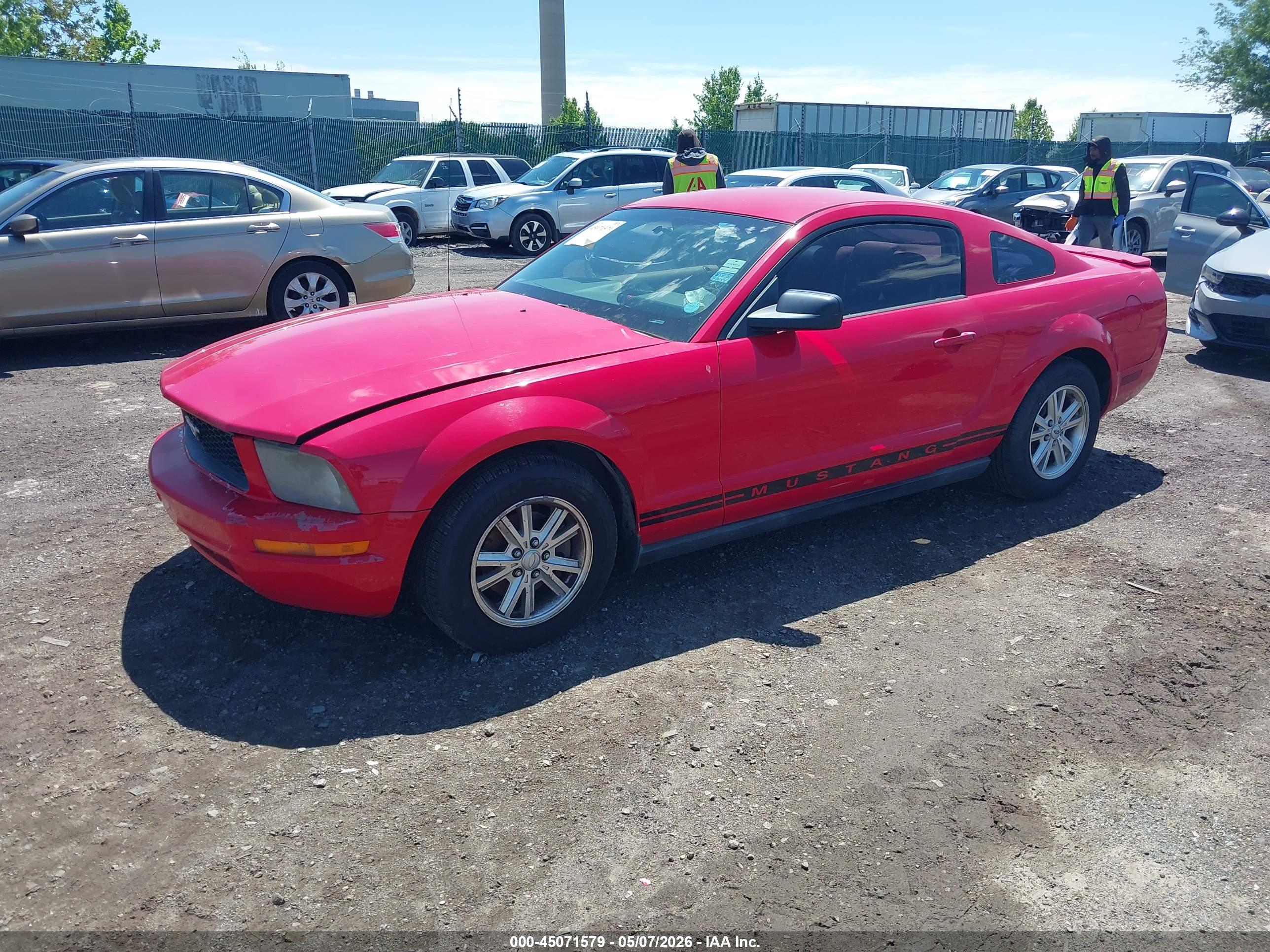 FORD MUSTANG image 2