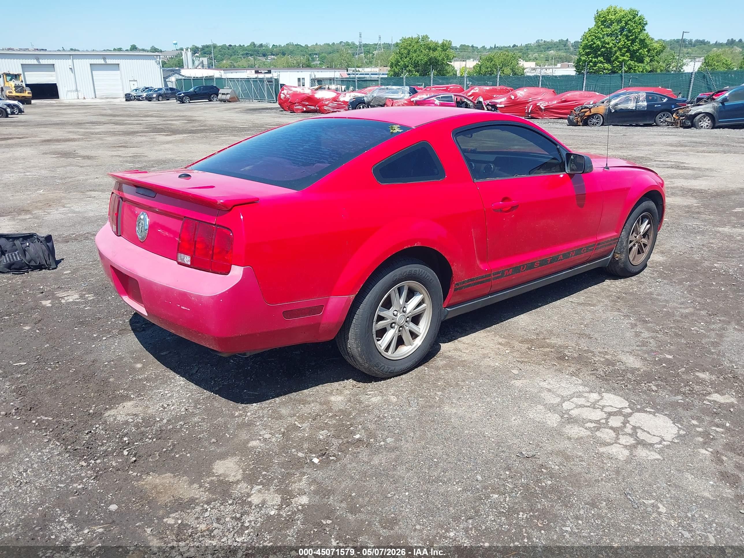 FORD MUSTANG image 4