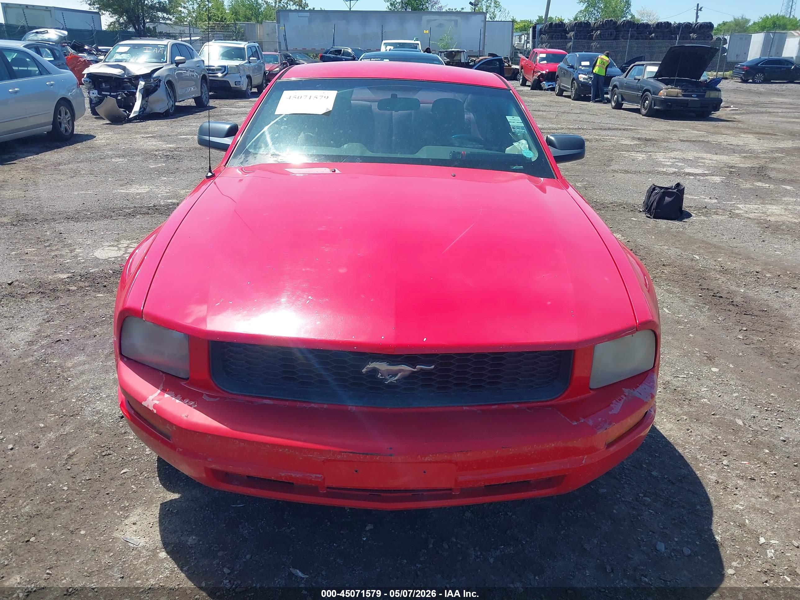 FORD MUSTANG image 6