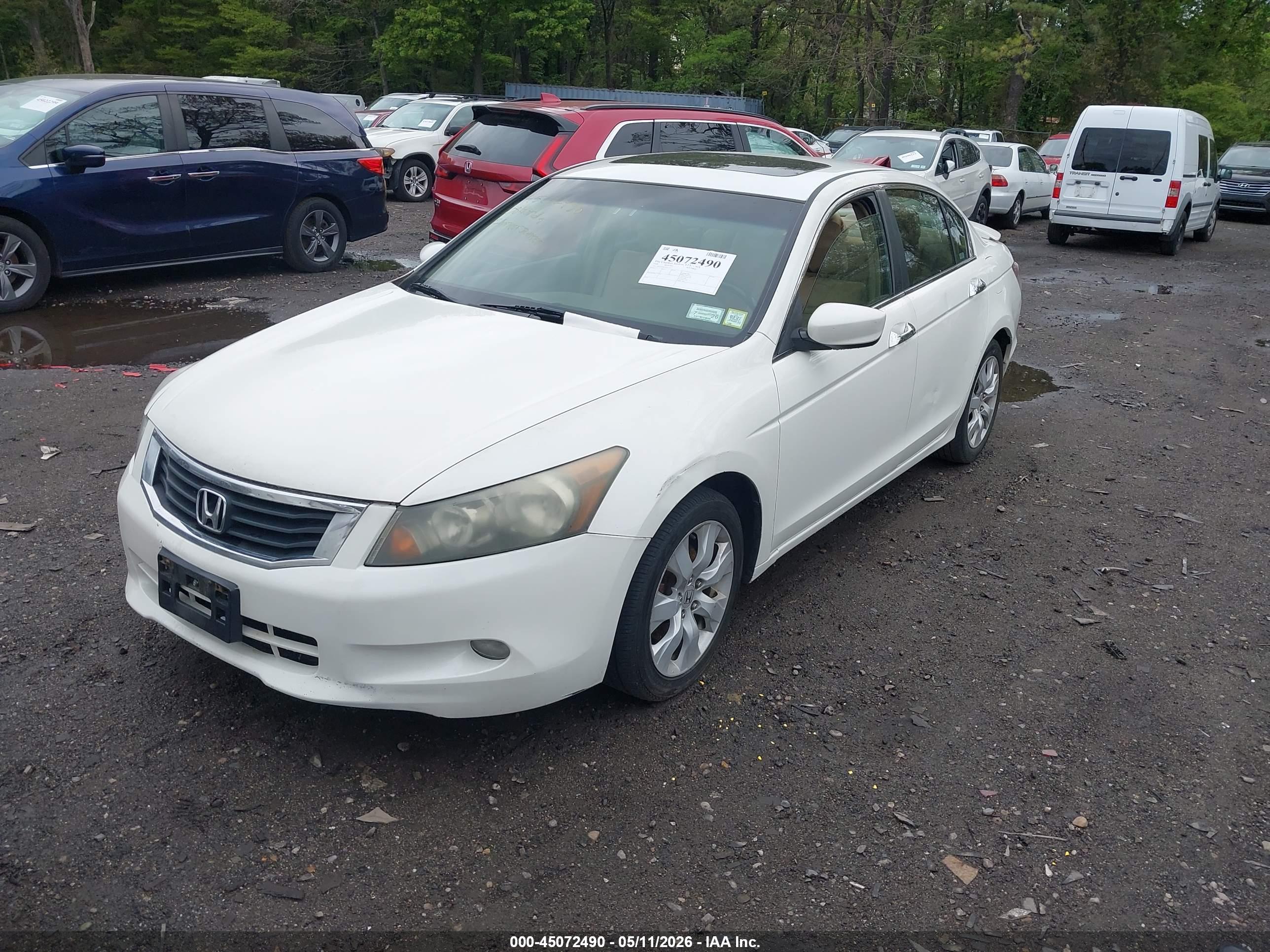 HONDA ACCORD image 2