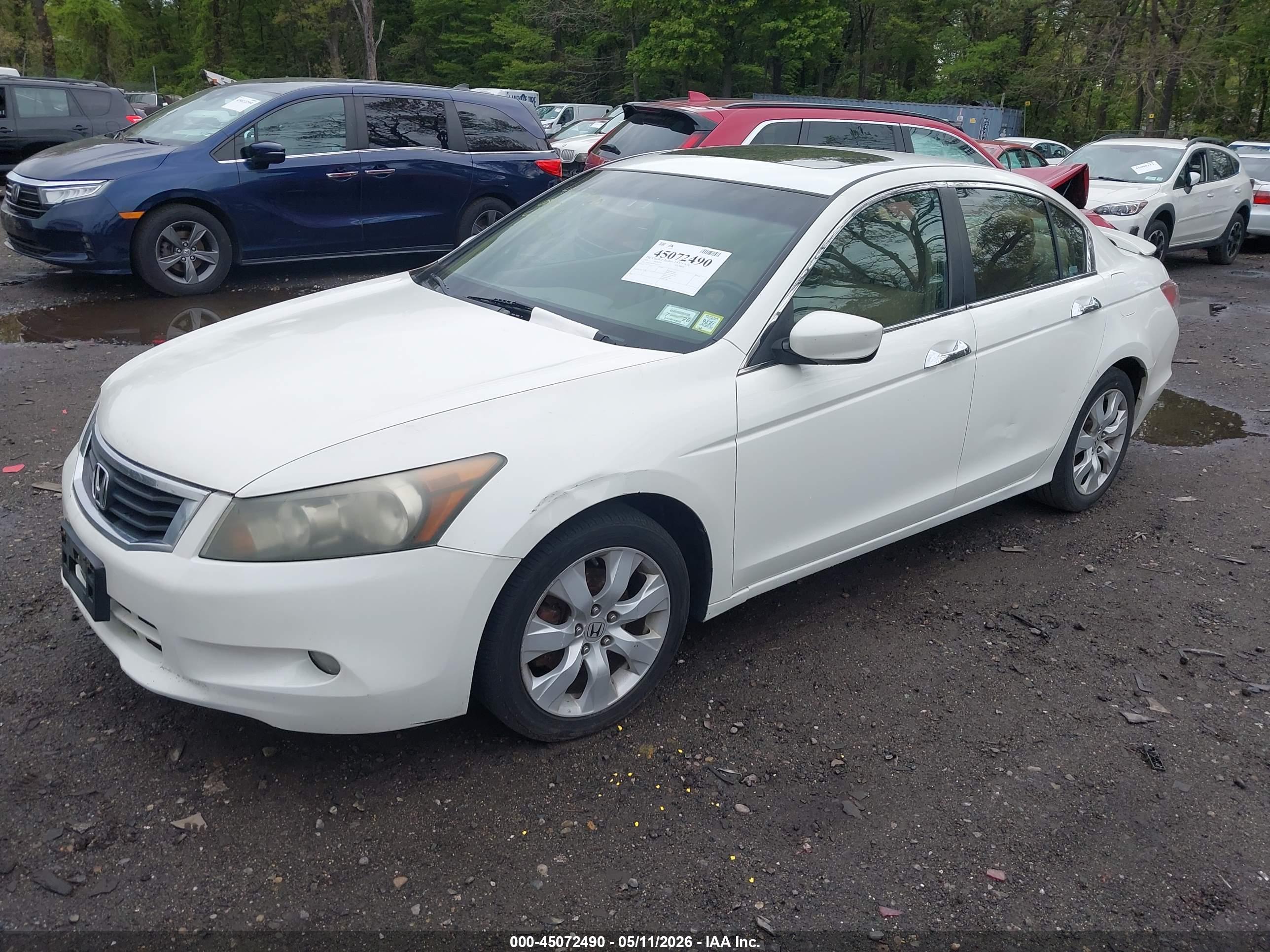 HONDA ACCORD image 6