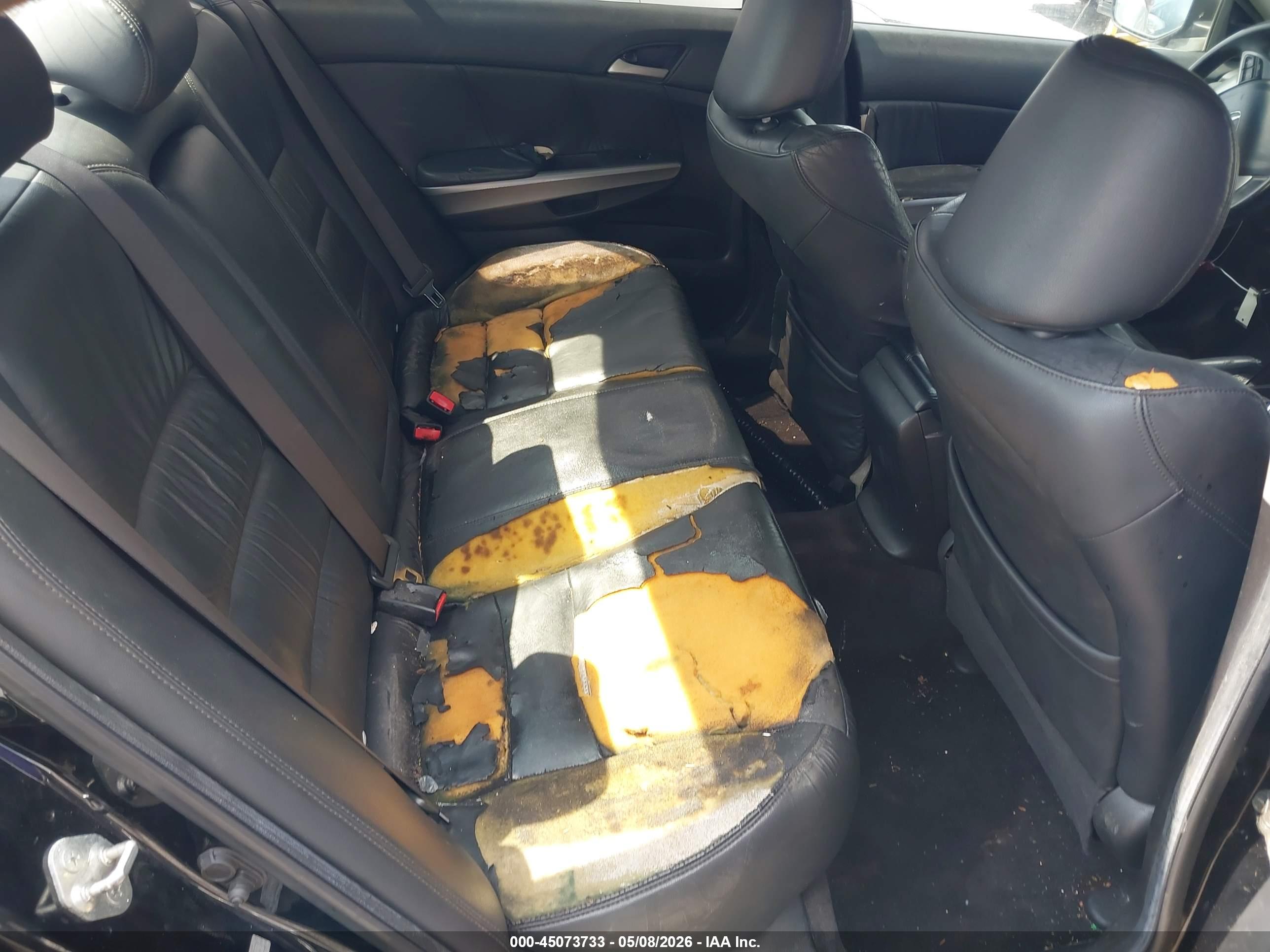 HONDA ACCORD image 8
