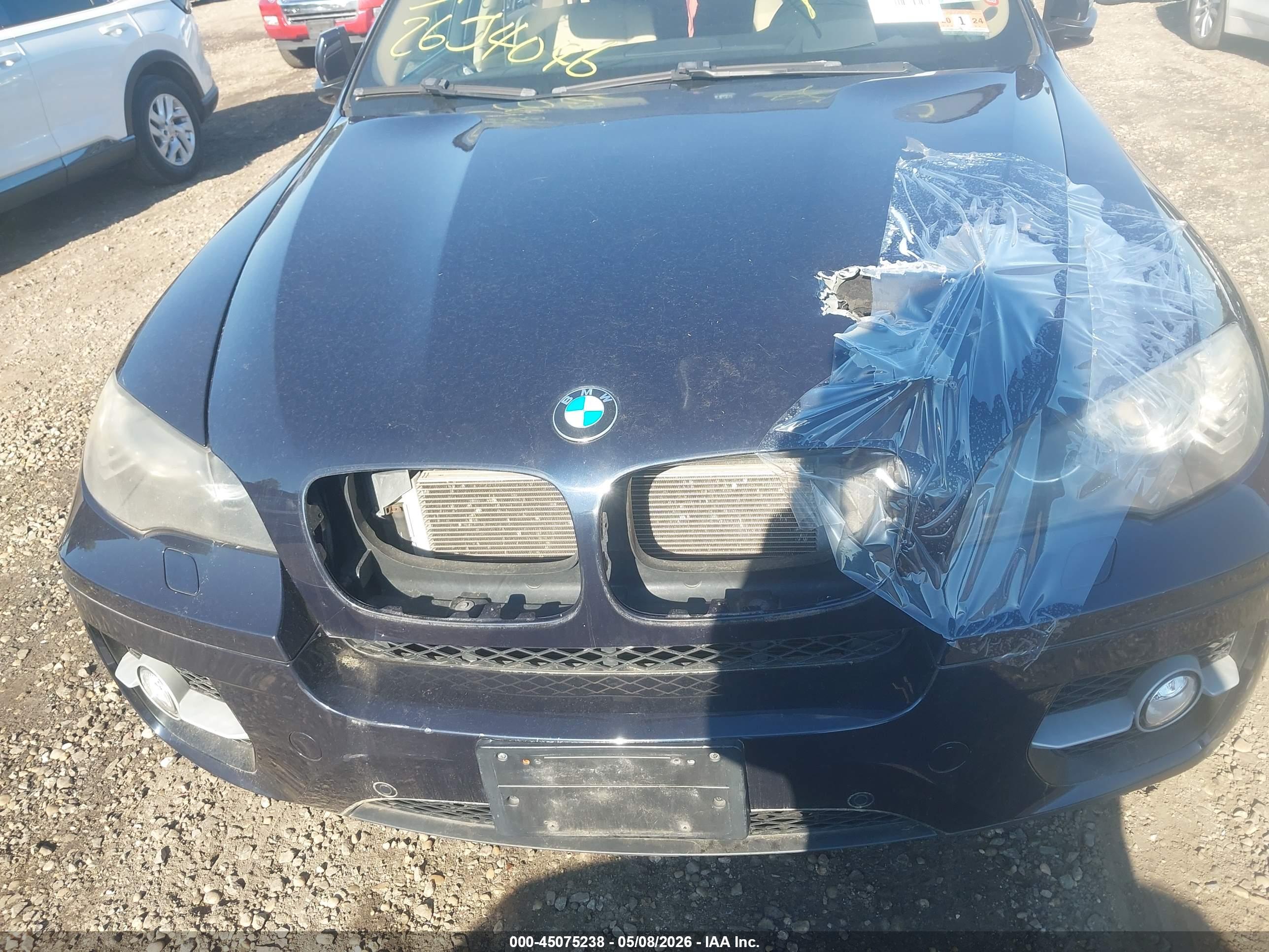 BMW X6 image 10