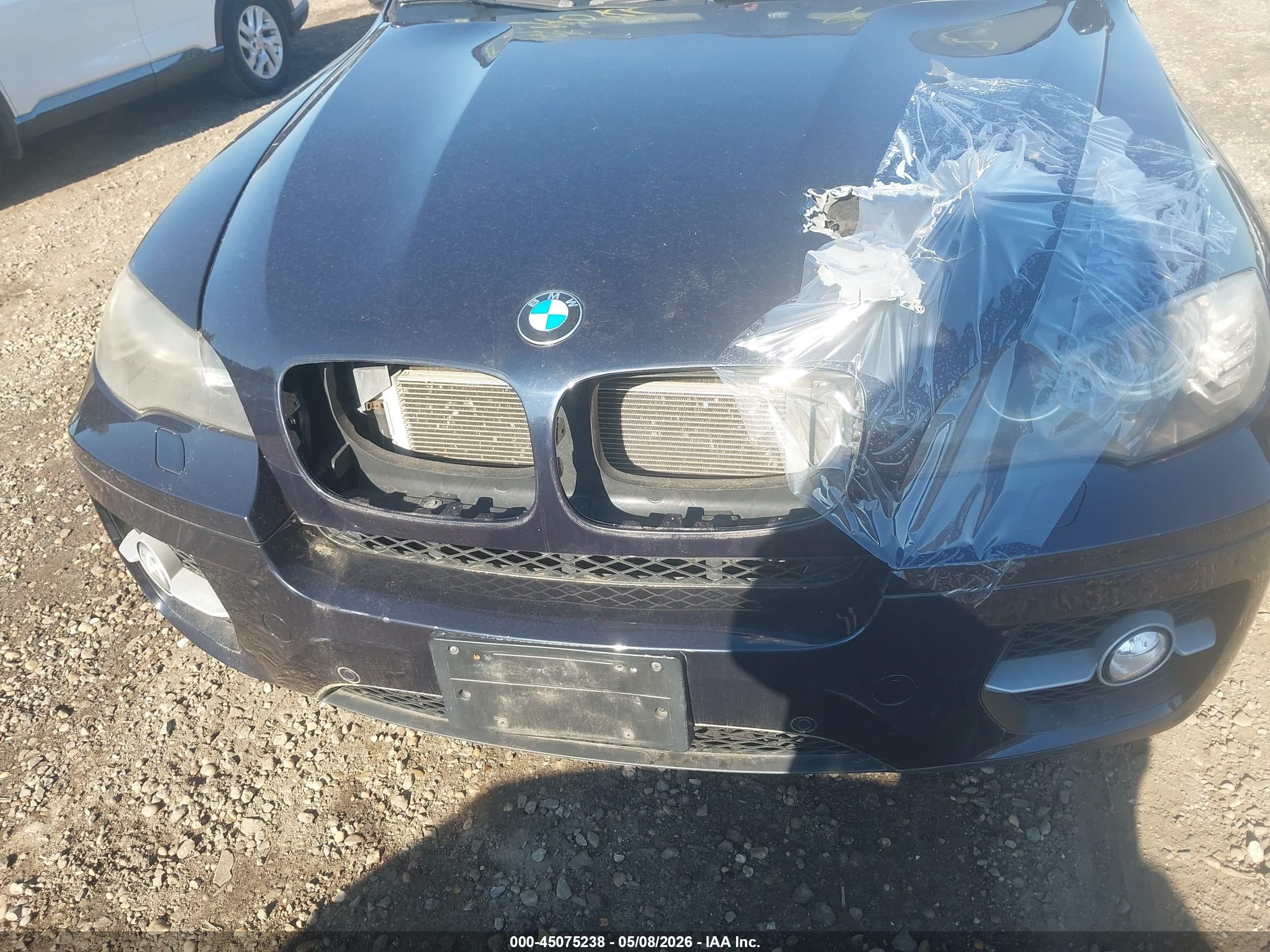 BMW X6 image 6