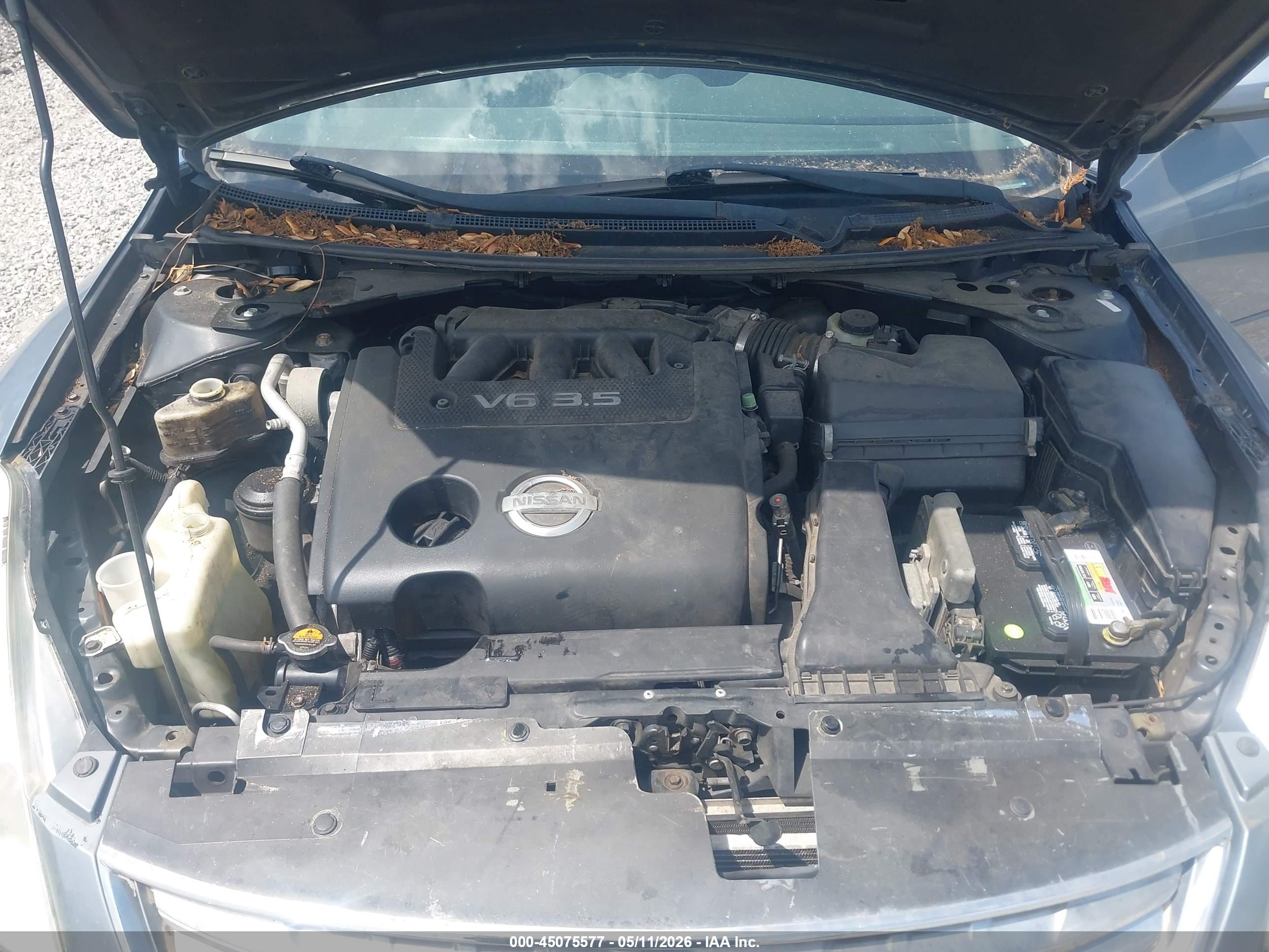 NISSAN ALTIMA image 10