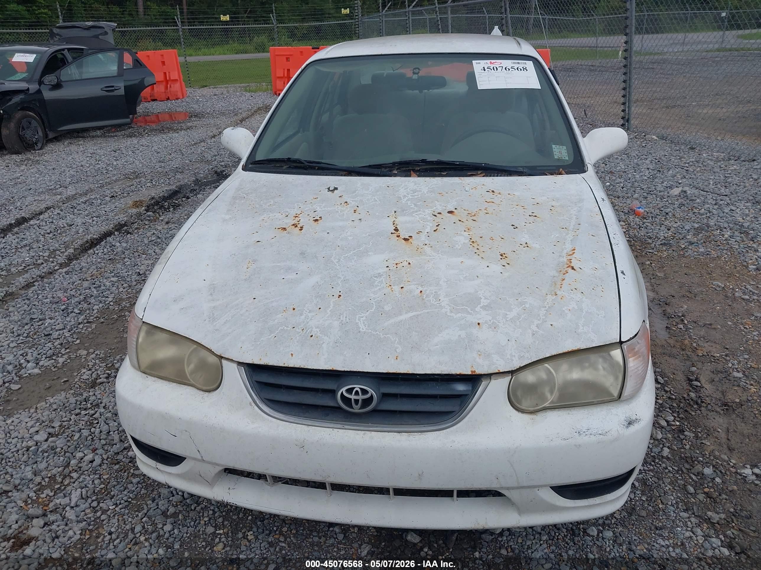 TOYOTA COROLLA image 6