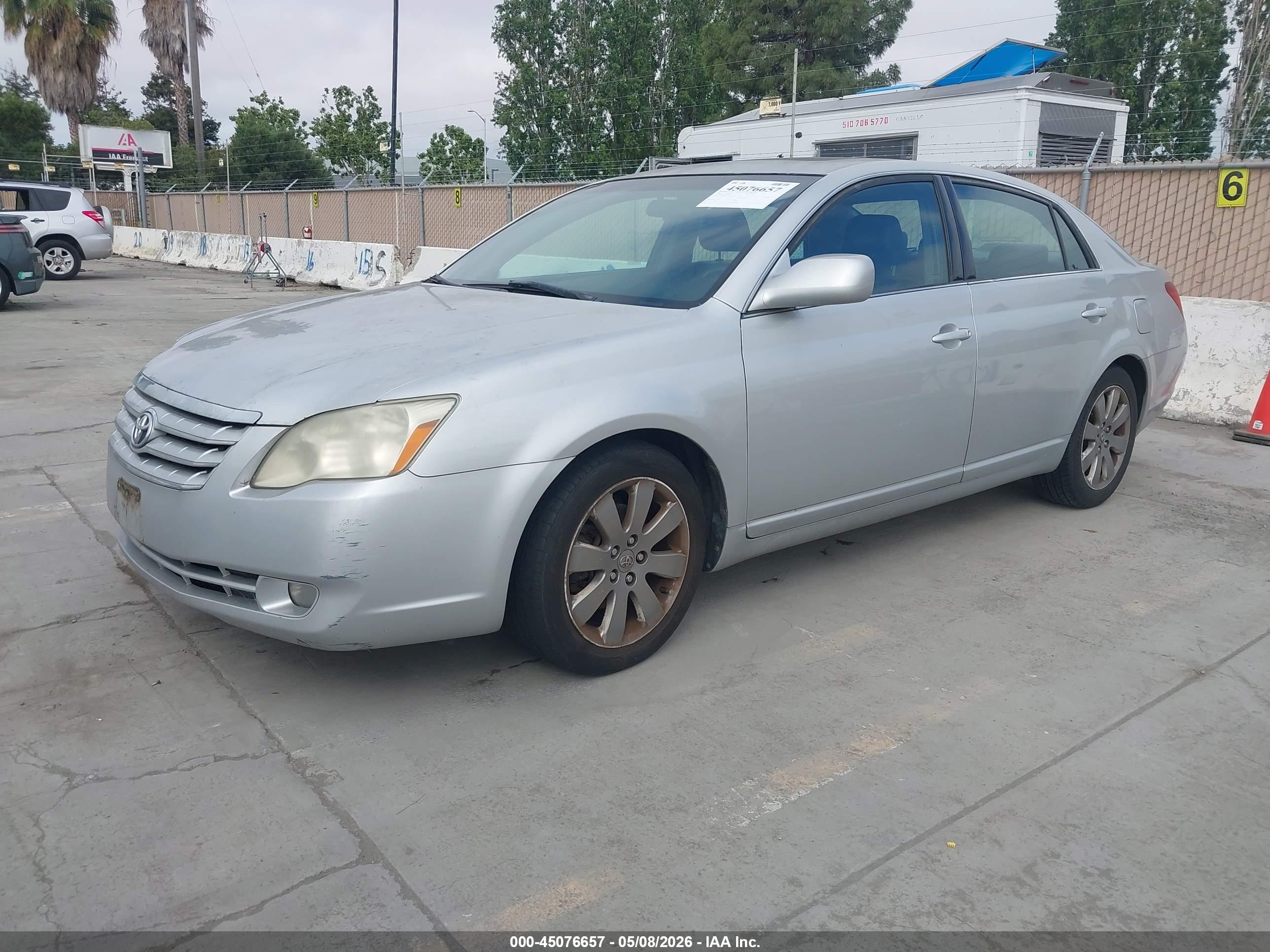 TOYOTA AVALON image 2