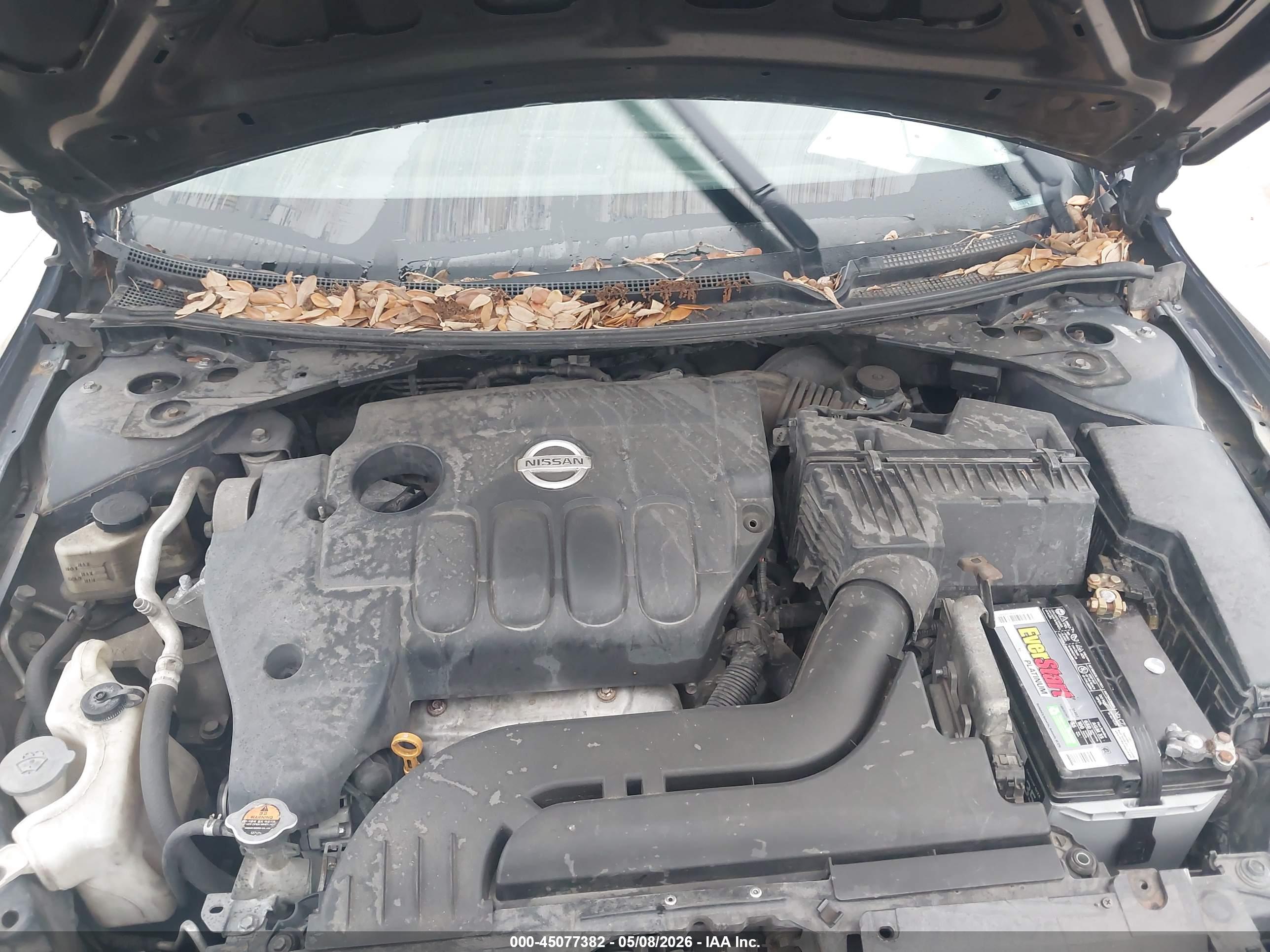NISSAN ALTIMA image 10