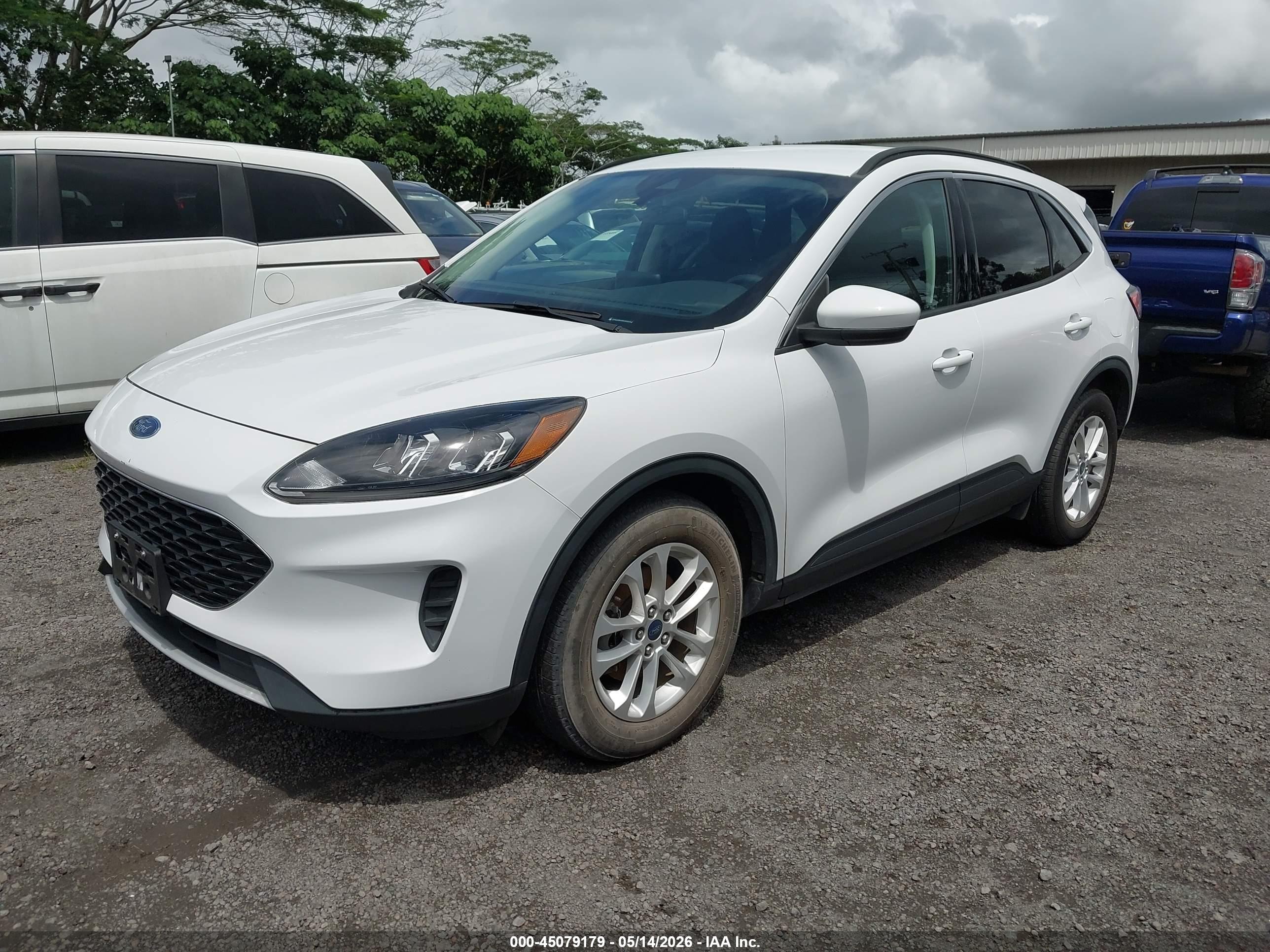 FORD ESCAPE image 2
