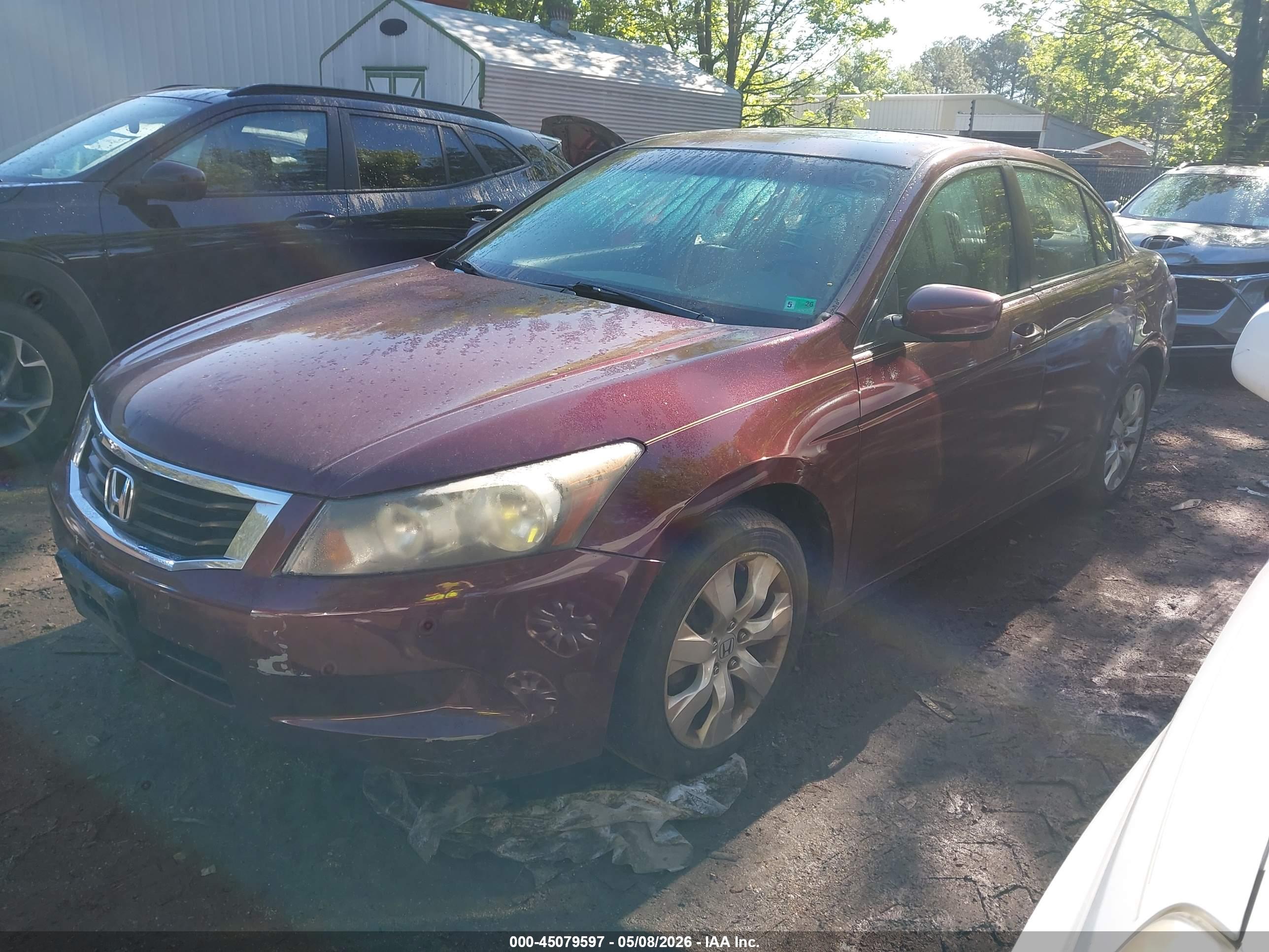 HONDA ACCORD image 2