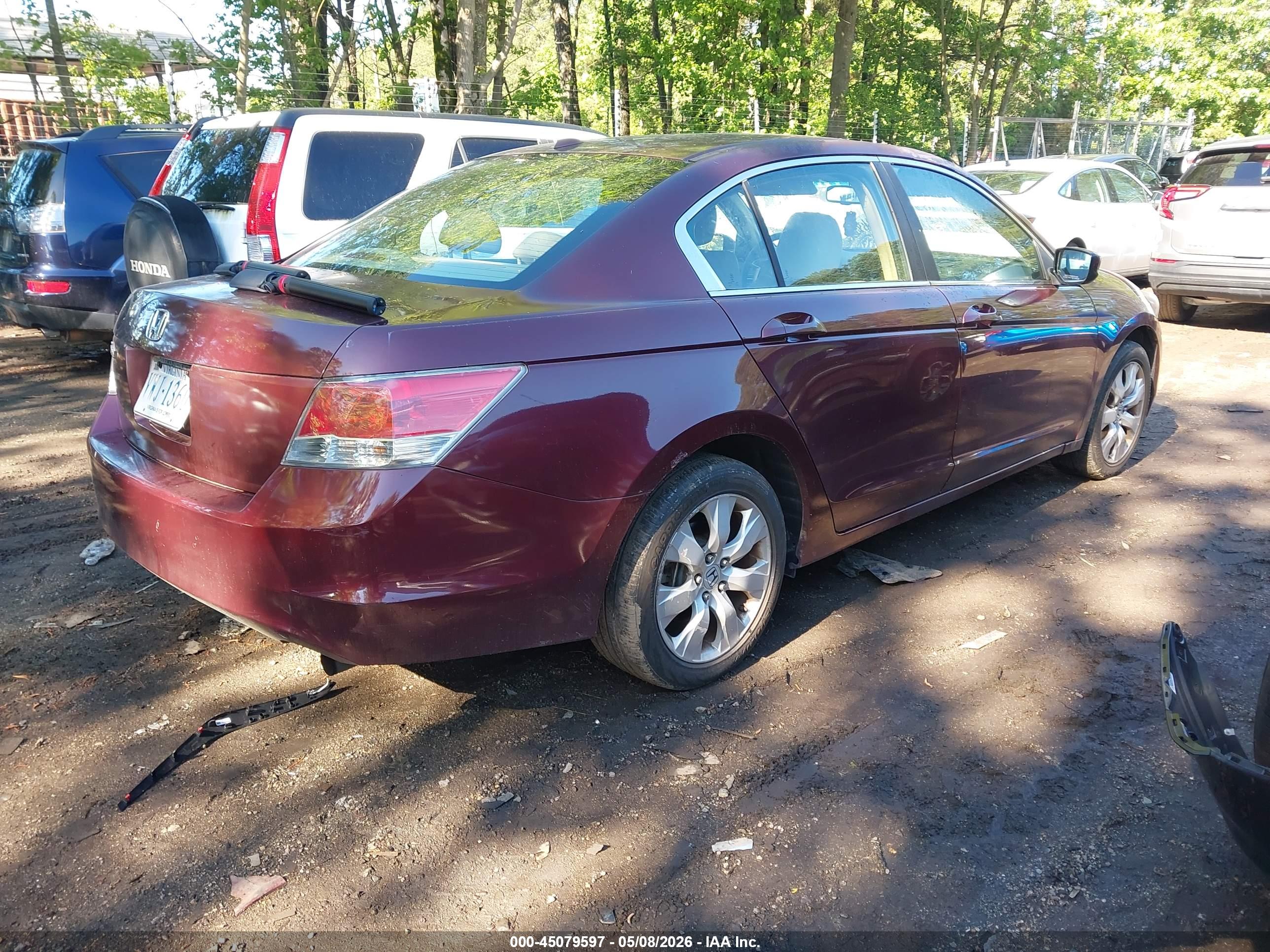 HONDA ACCORD image 4