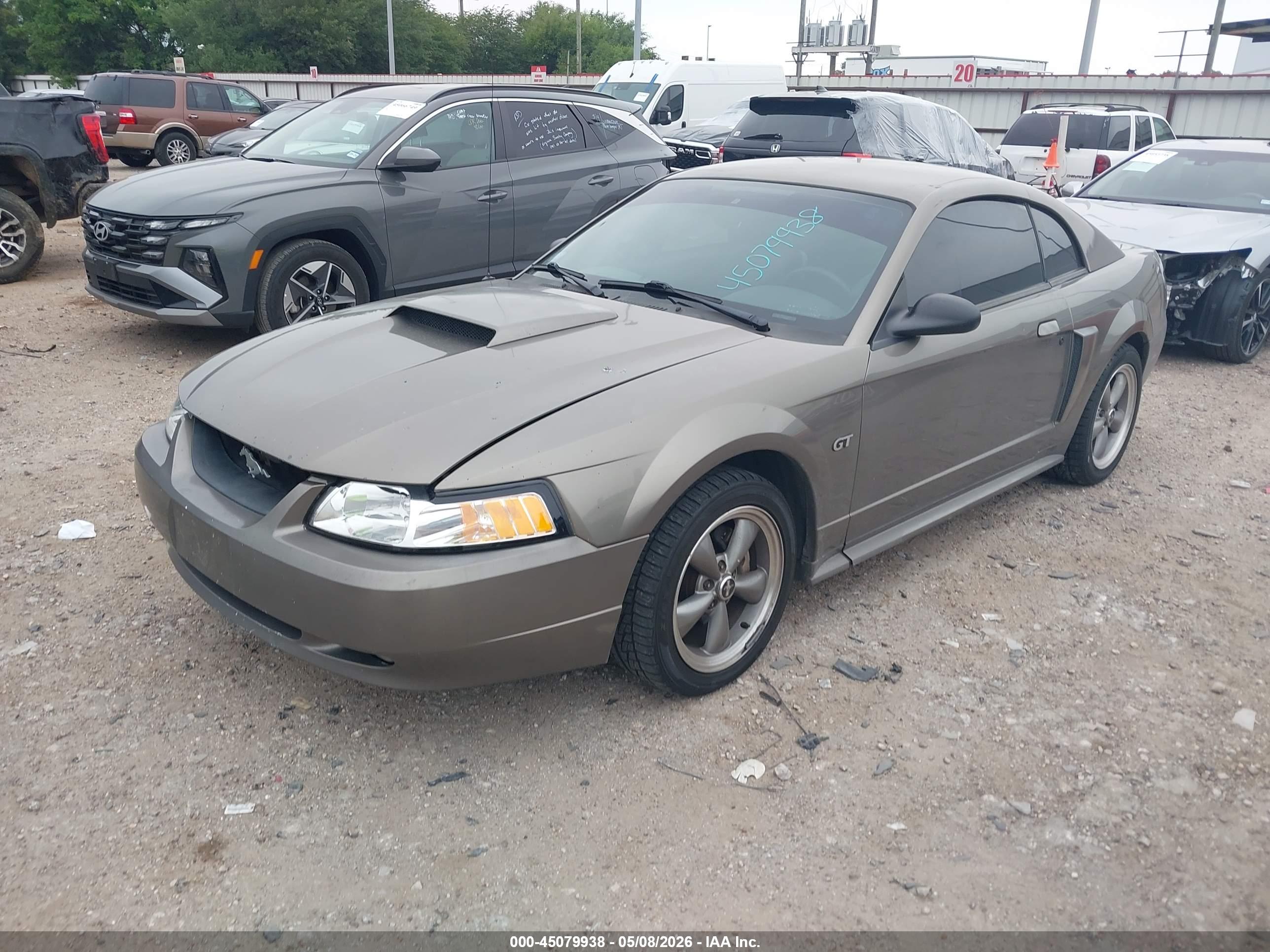 FORD MUSTANG image 2