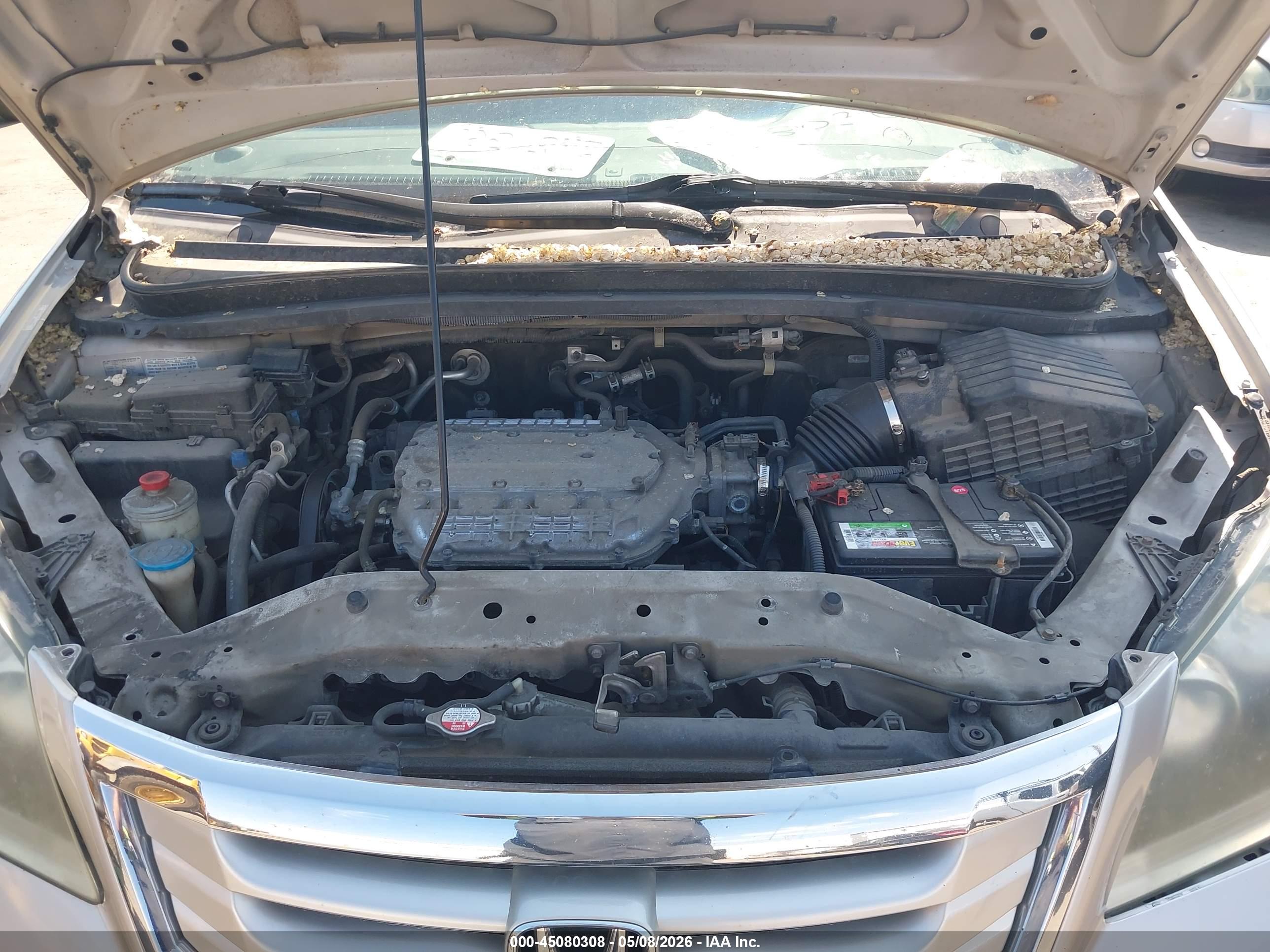 HONDA ODYSSEY image 10