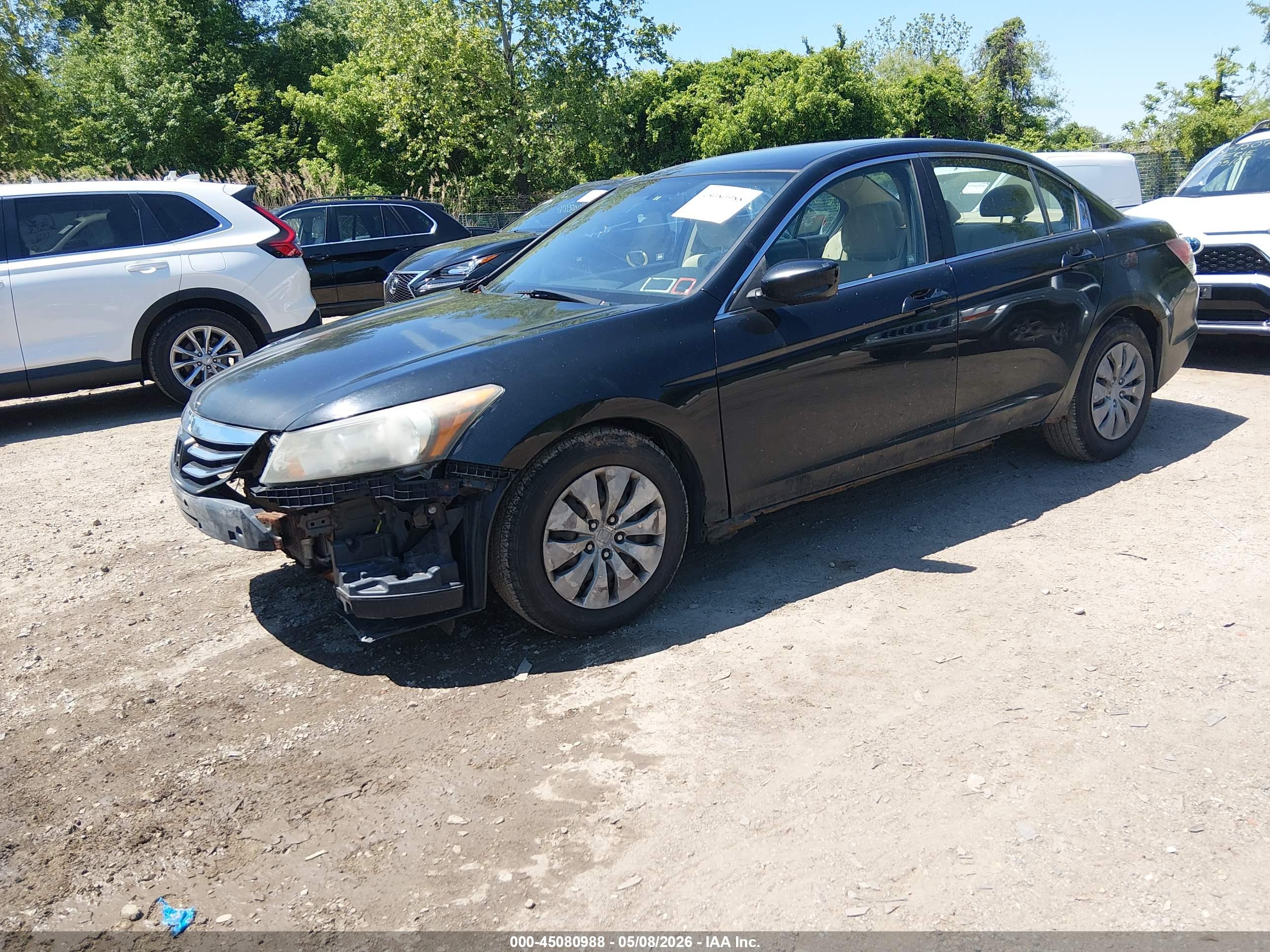 HONDA ACCORD image 2