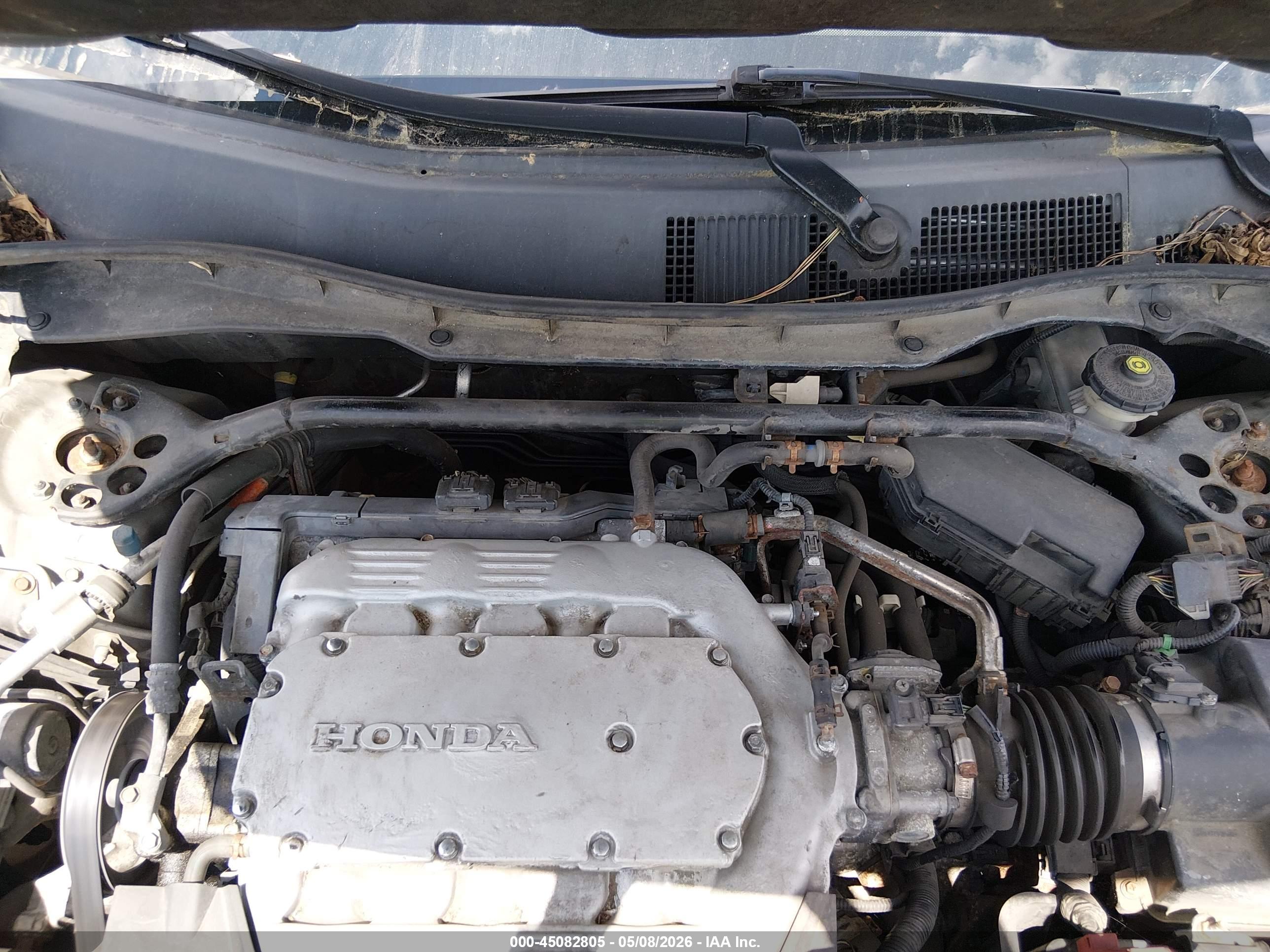 HONDA ACCORD image 10