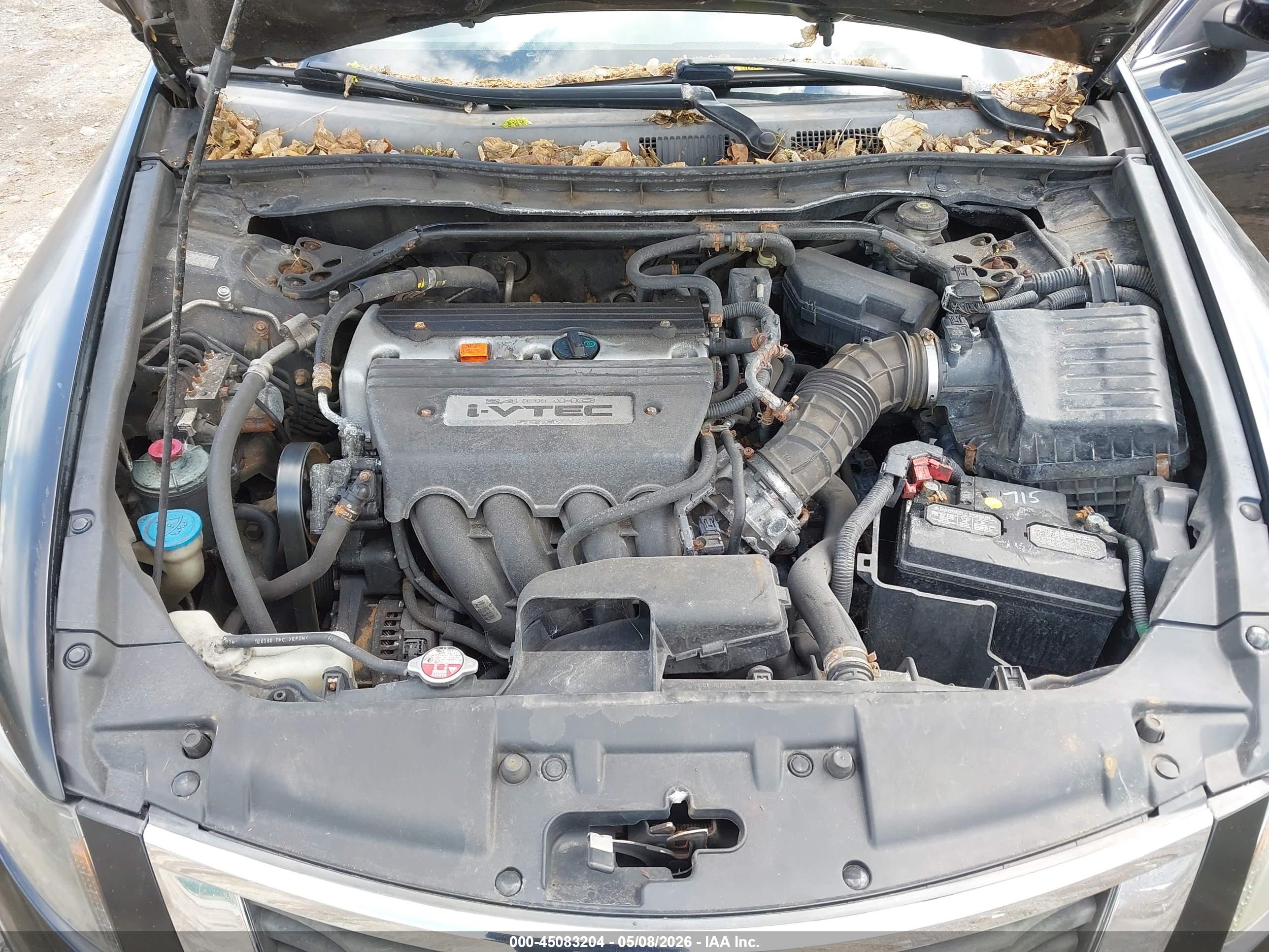 HONDA ACCORD image 10