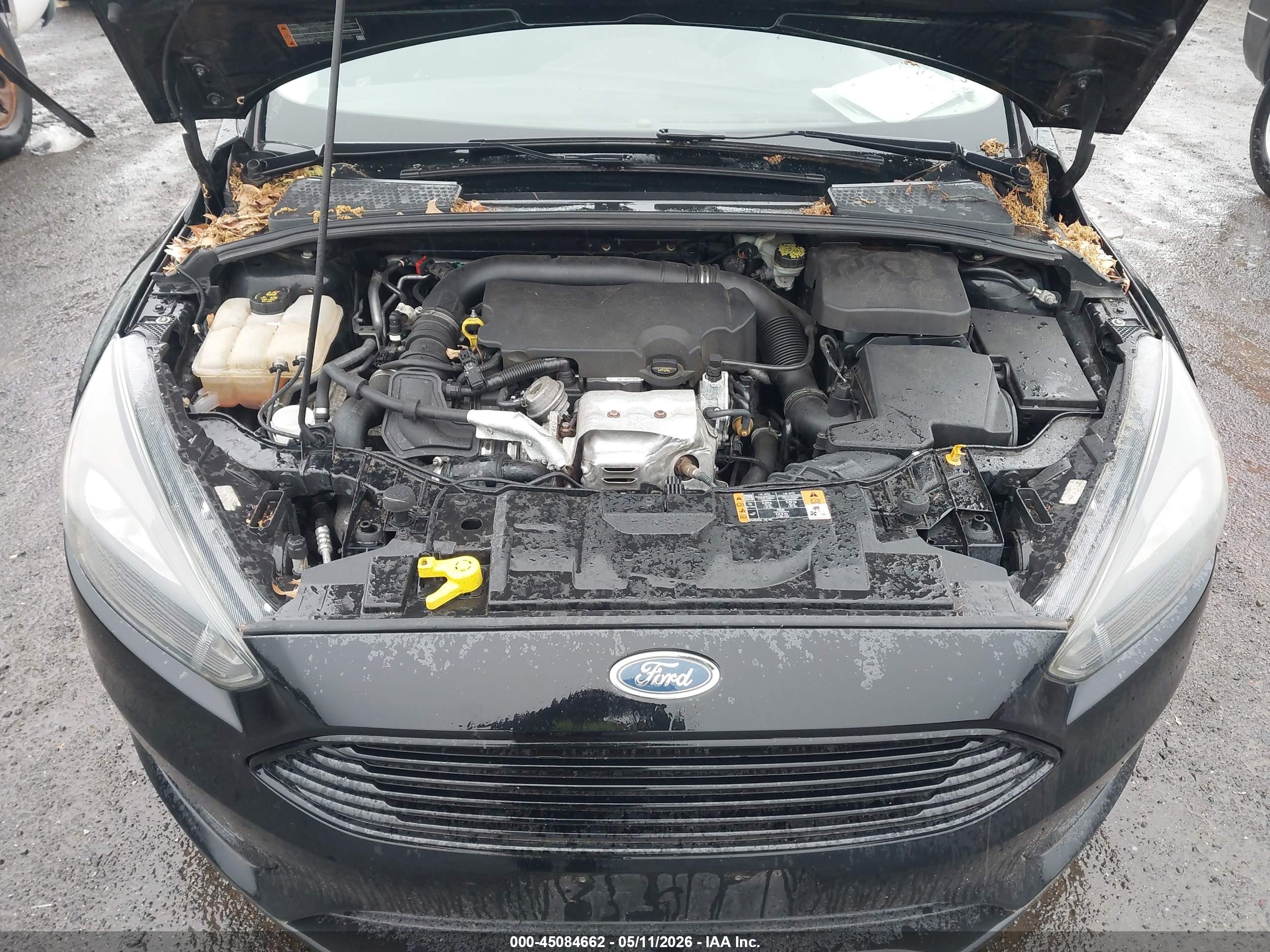 FORD FOCUS image 6