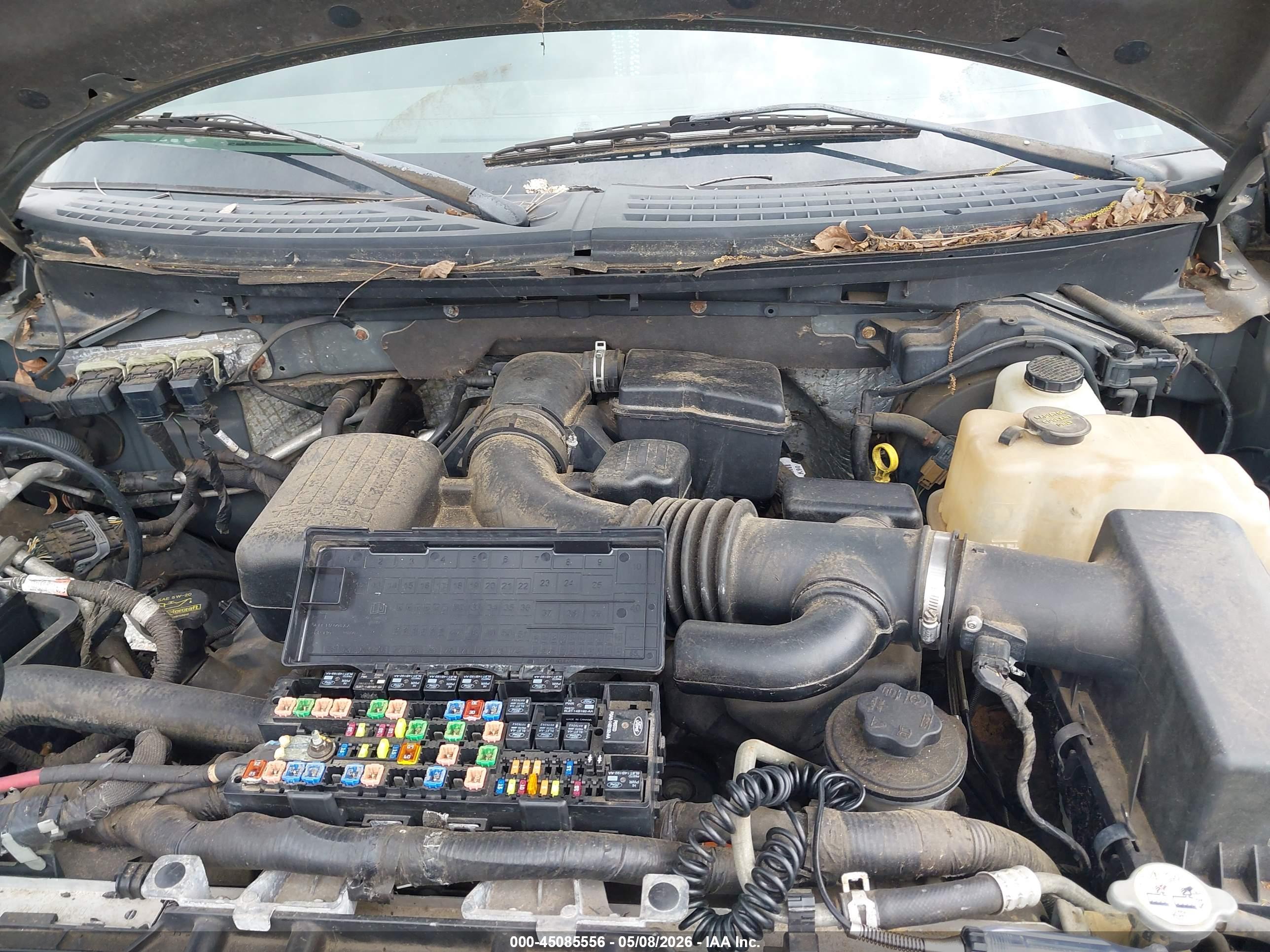 FORD F-150 image 10