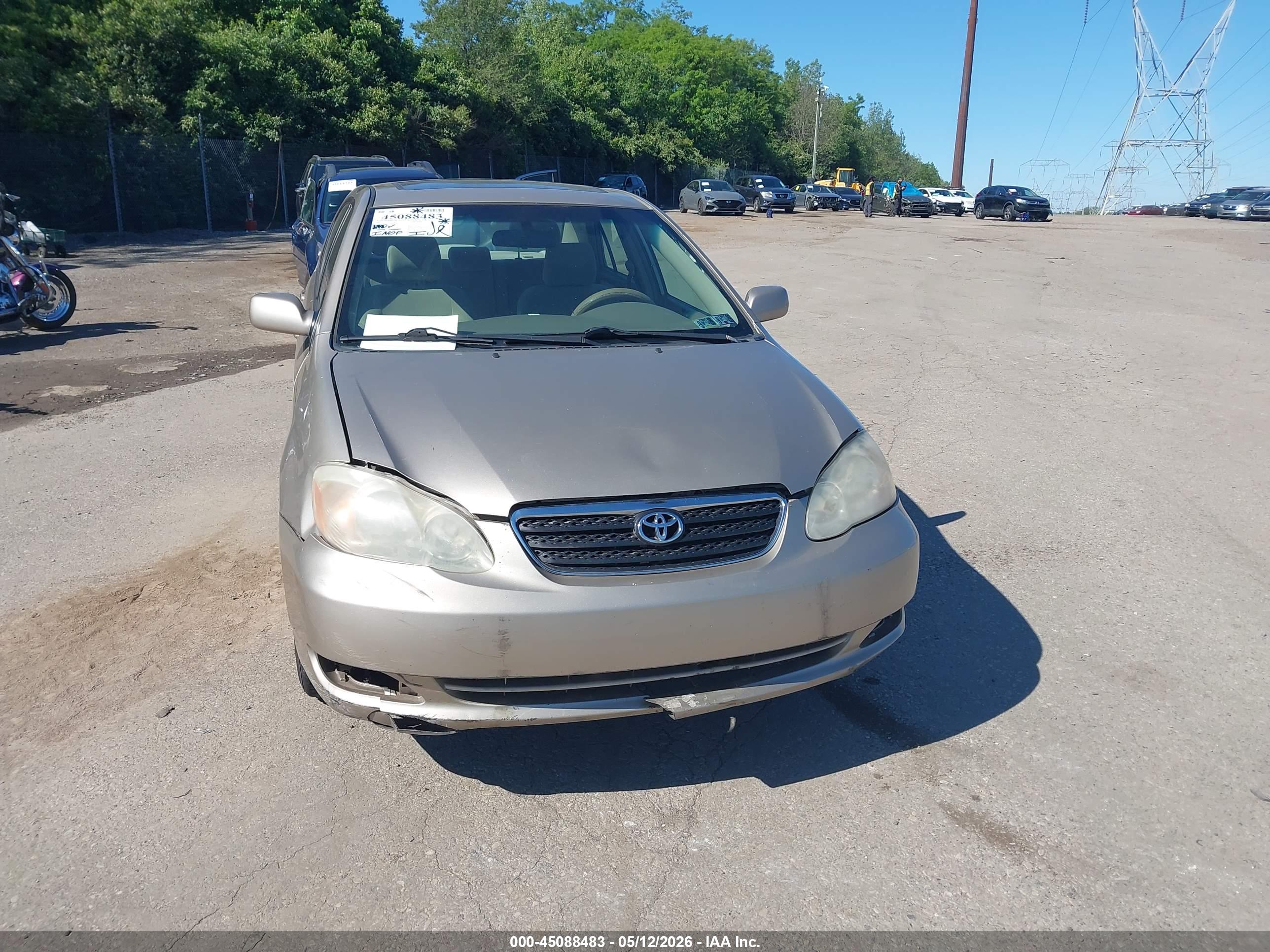 TOYOTA COROLLA image 6