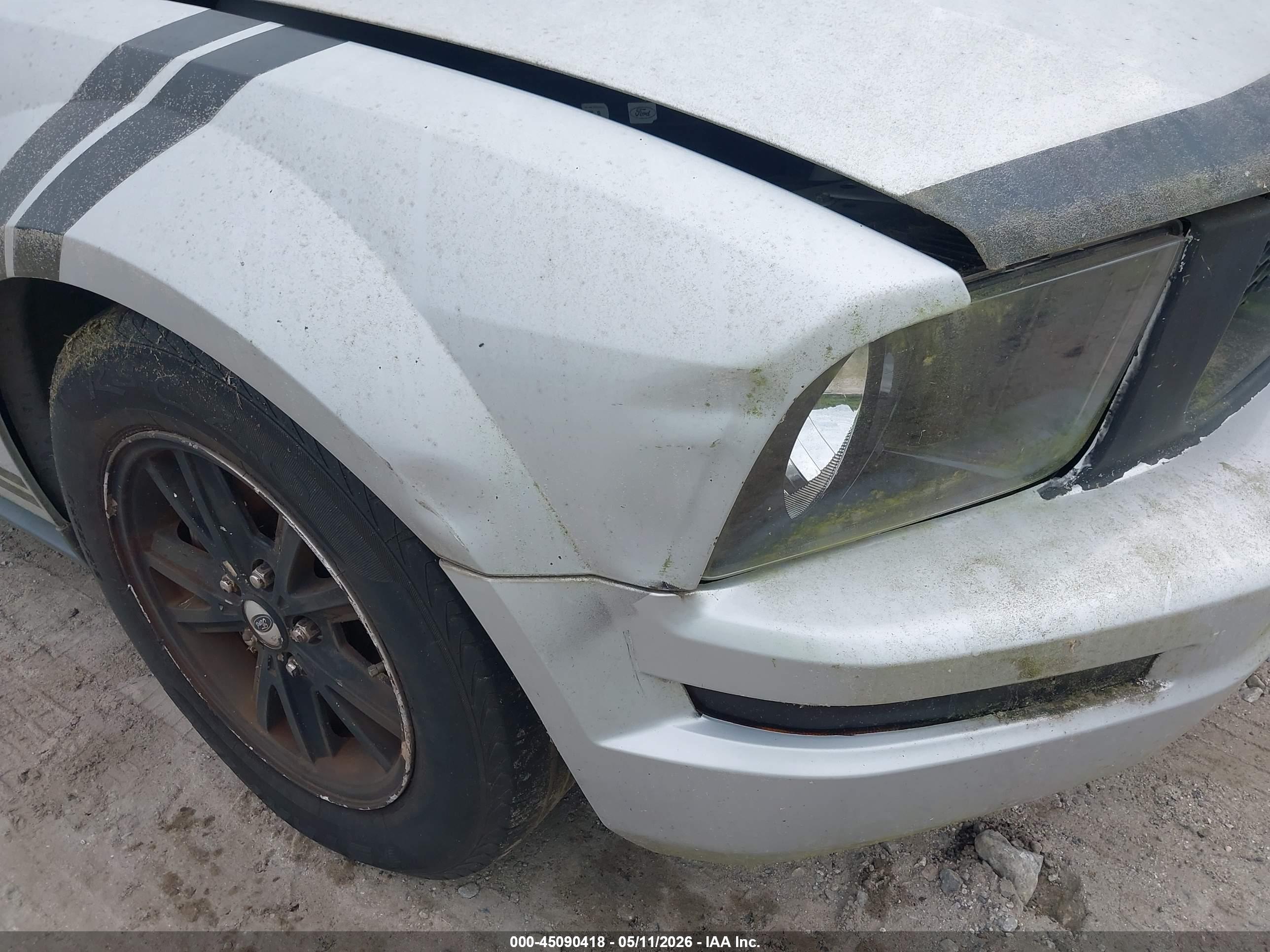 FORD MUSTANG image 6