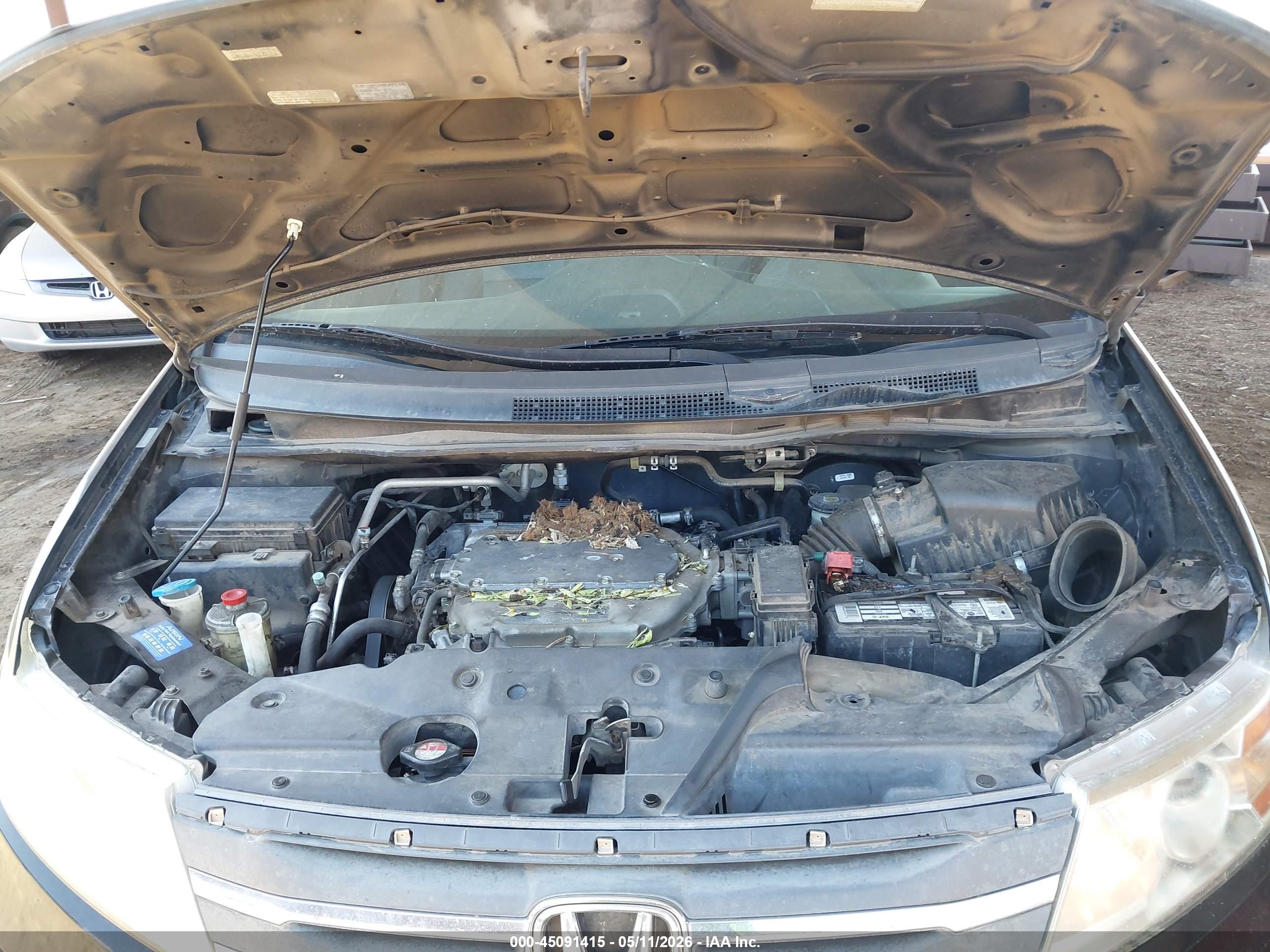 HONDA ODYSSEY image 10