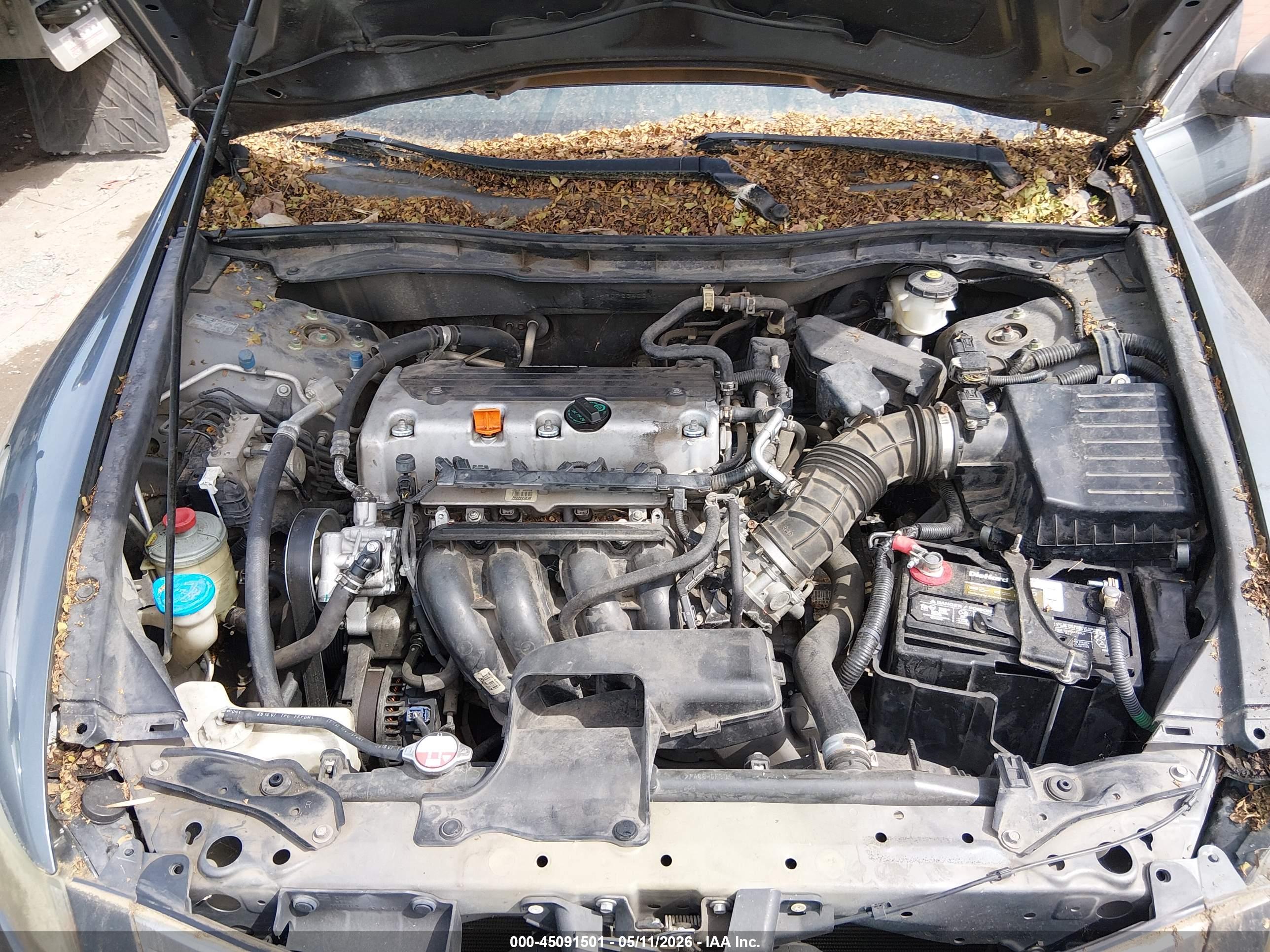 HONDA ACCORD image 10