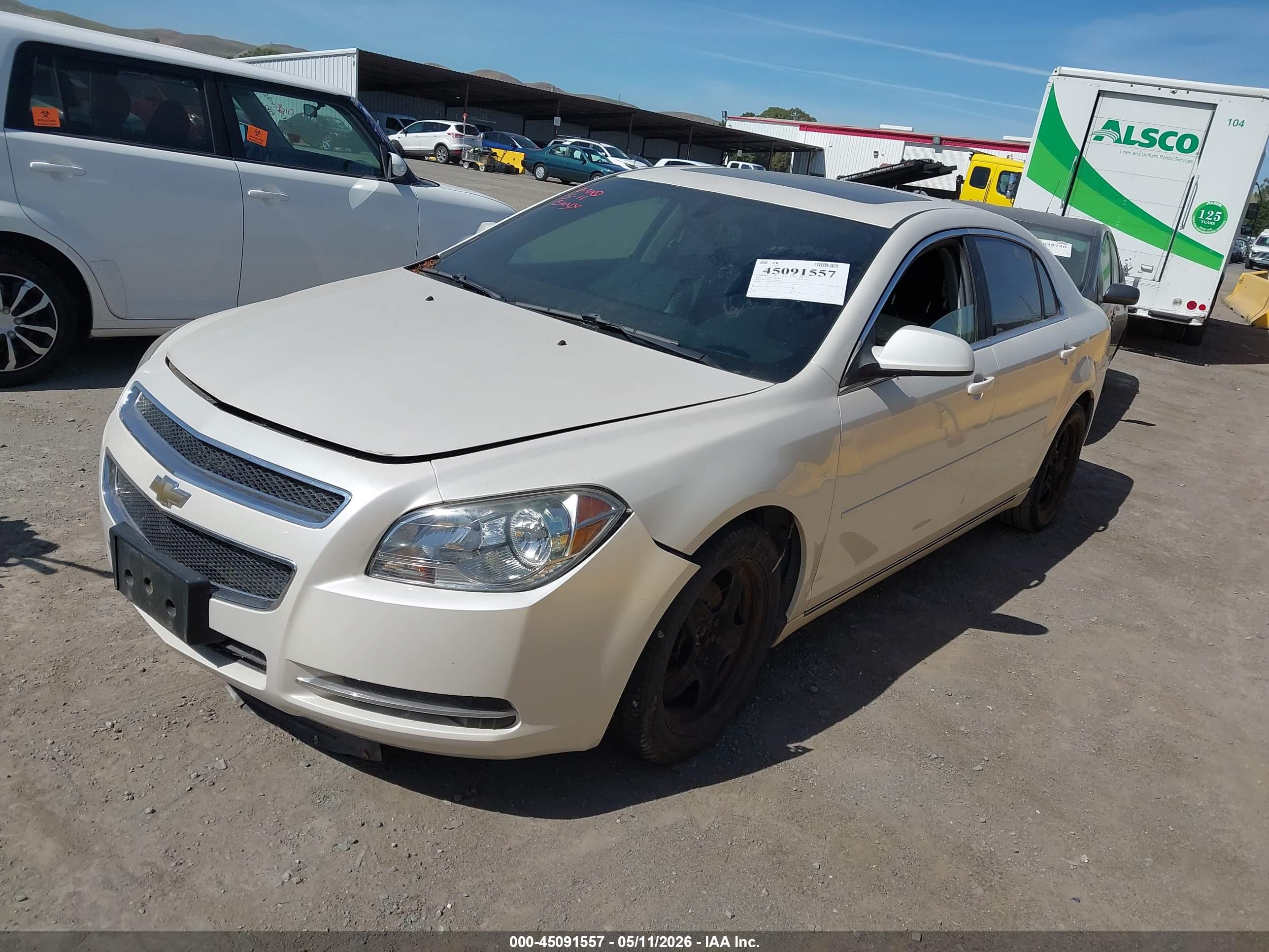 CHEVROLET MALIBU image 2