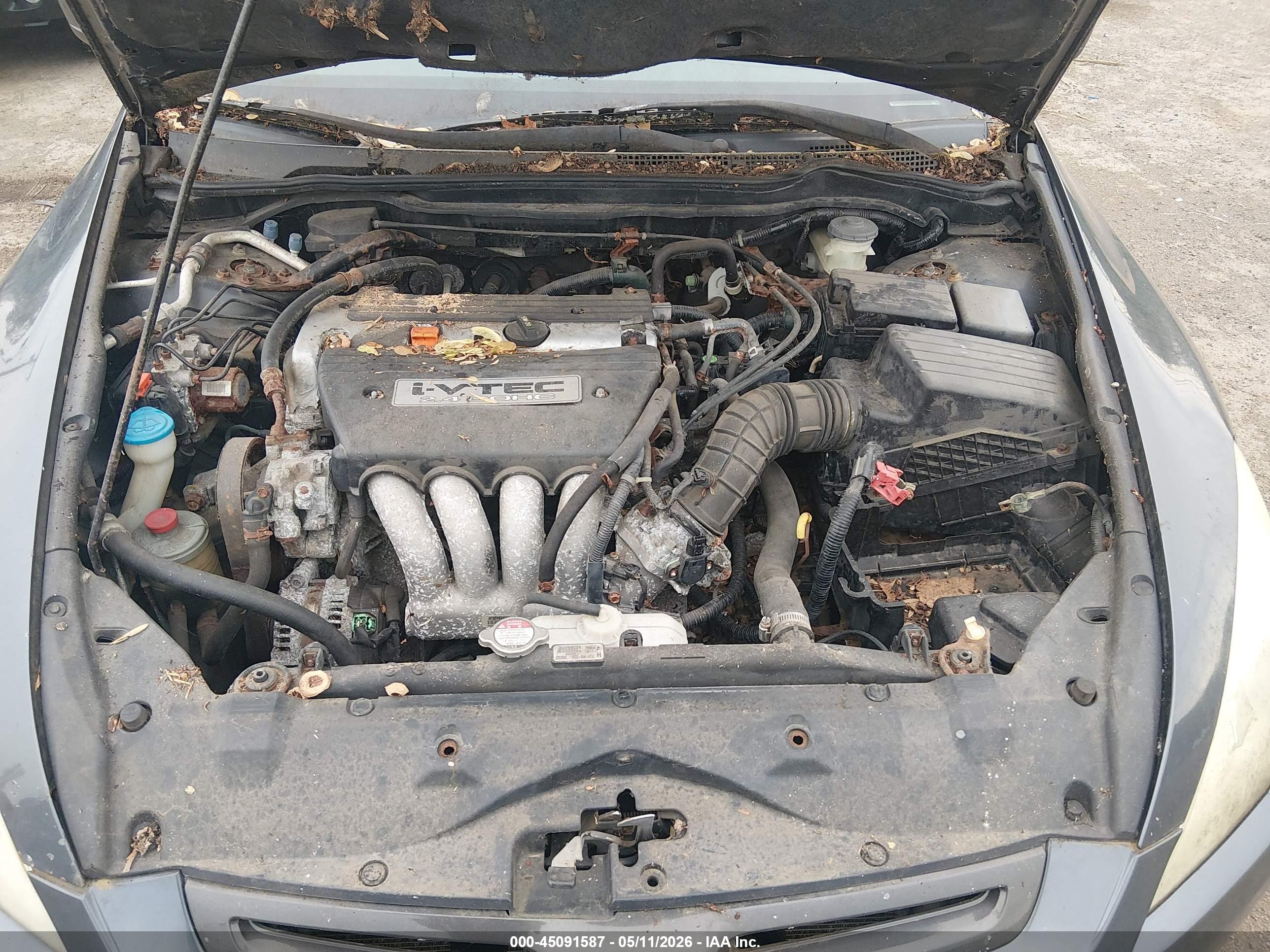 HONDA ACCORD image 10