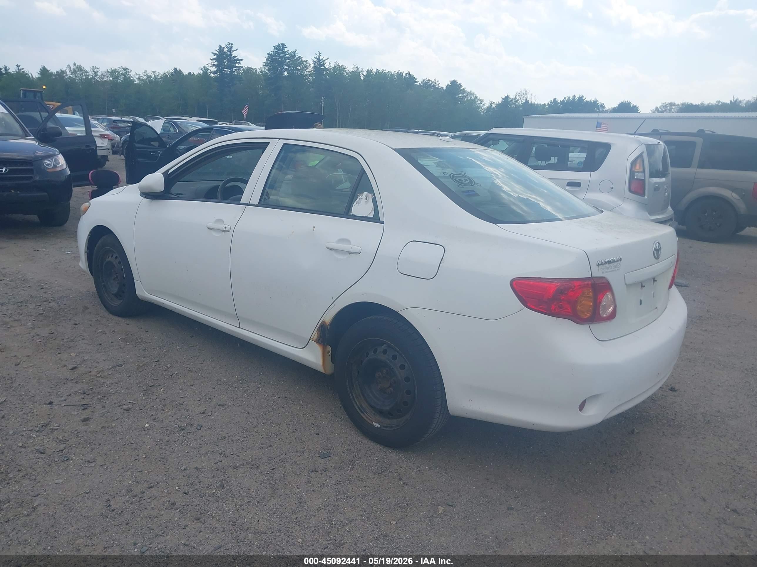 TOYOTA COROLLA image 3