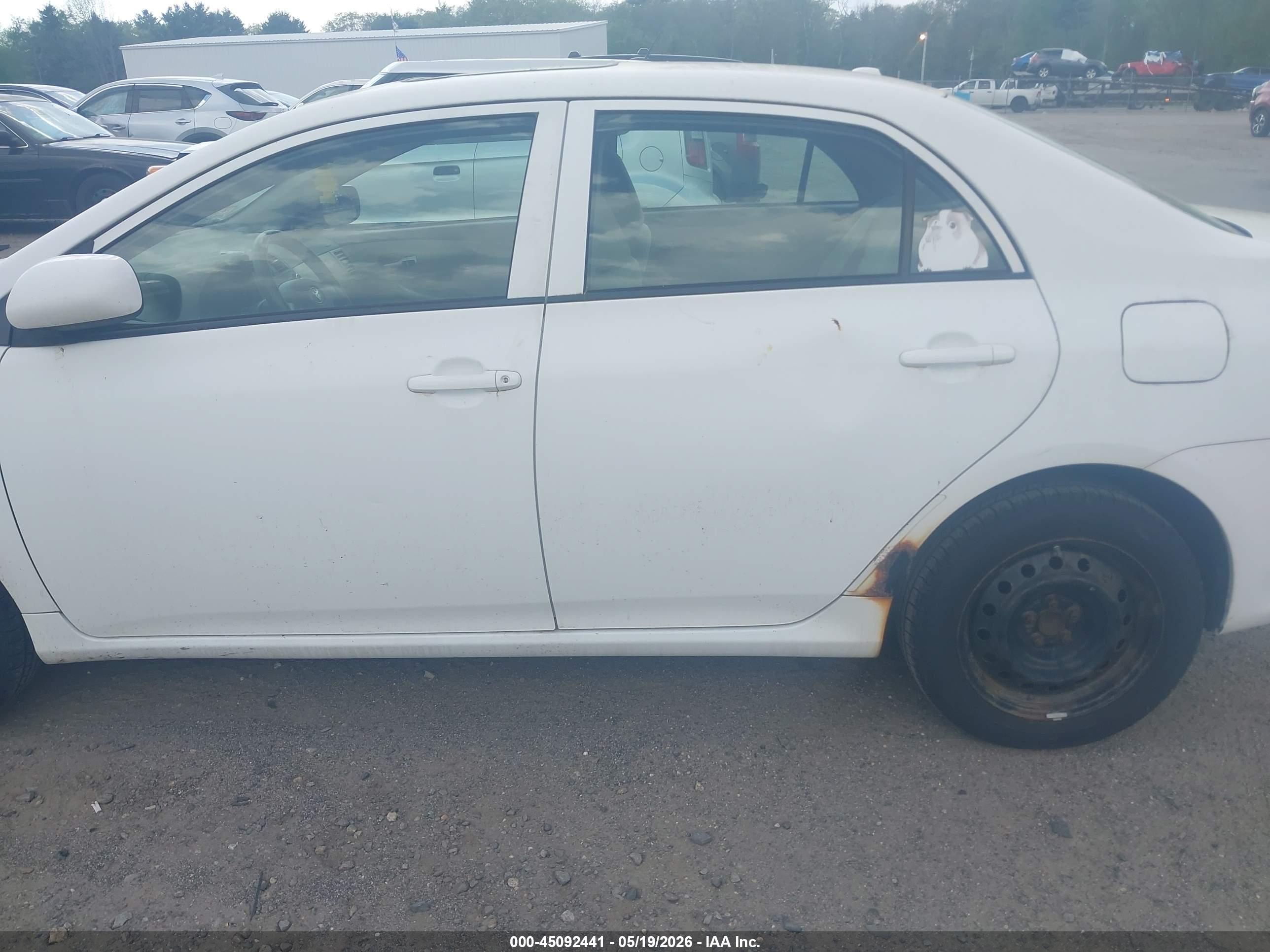 TOYOTA COROLLA image 6