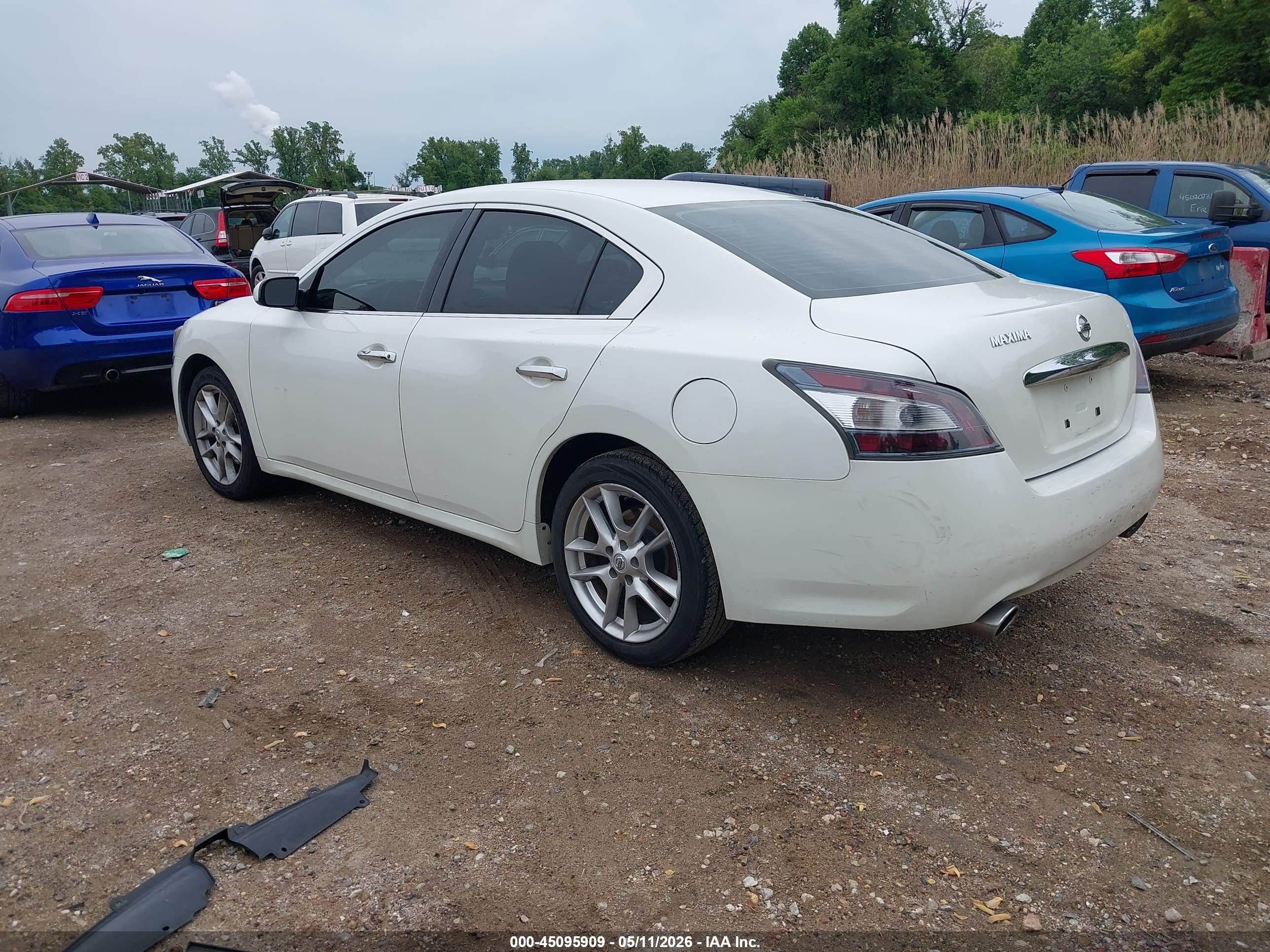 NISSAN MAXIMA image 3