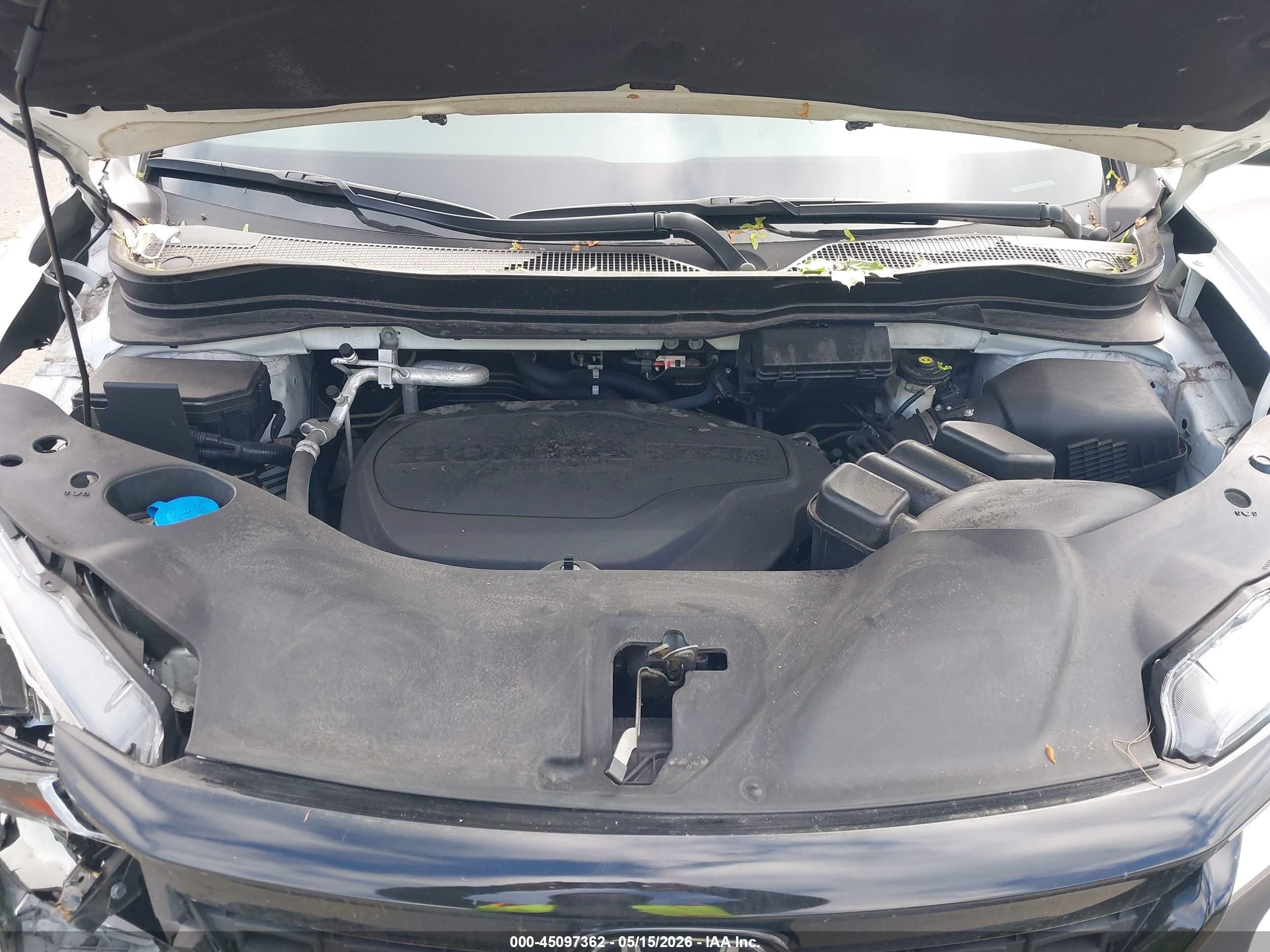 HONDA PASSPORT image 10