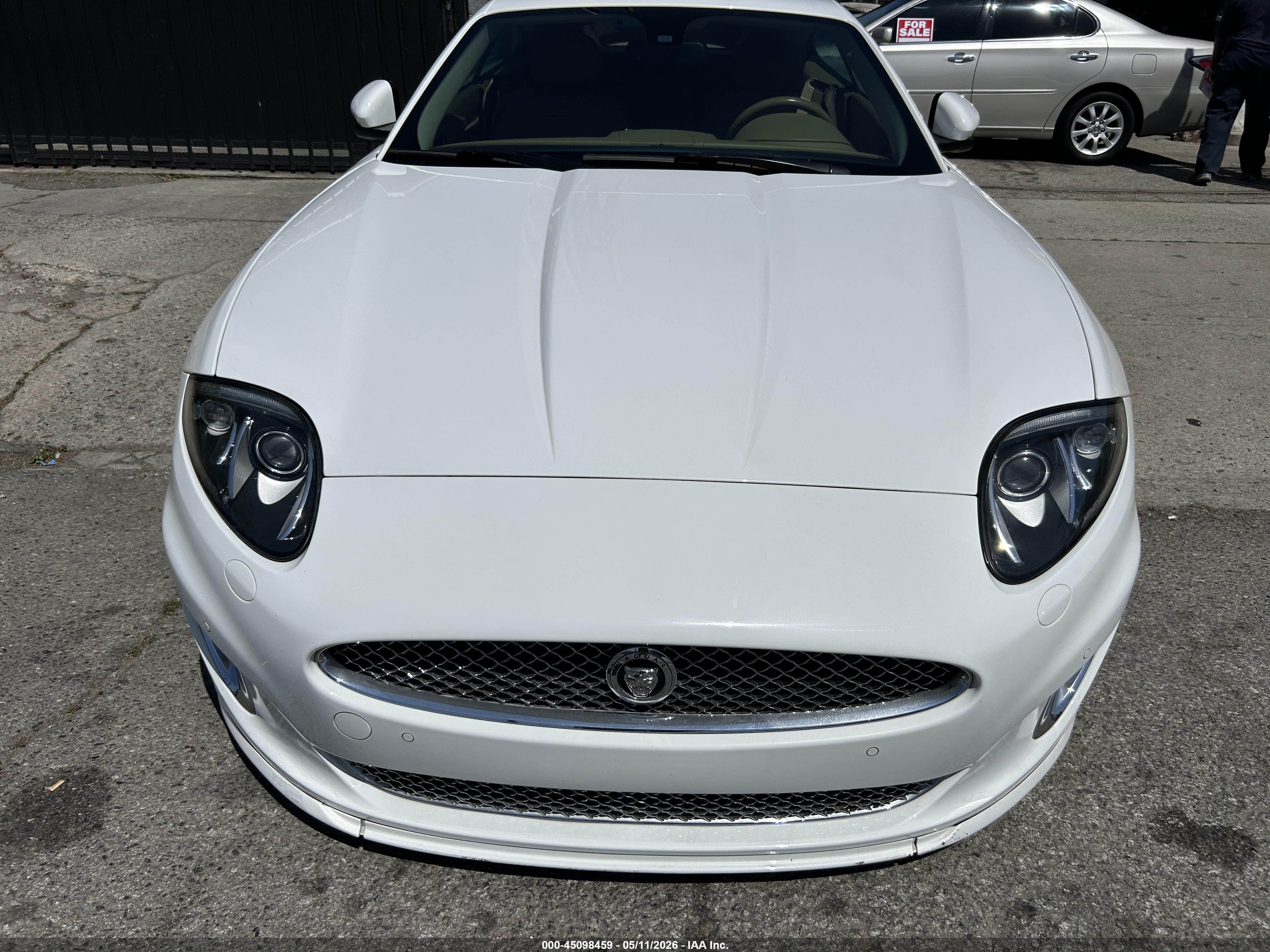 JAGUAR XK image 6