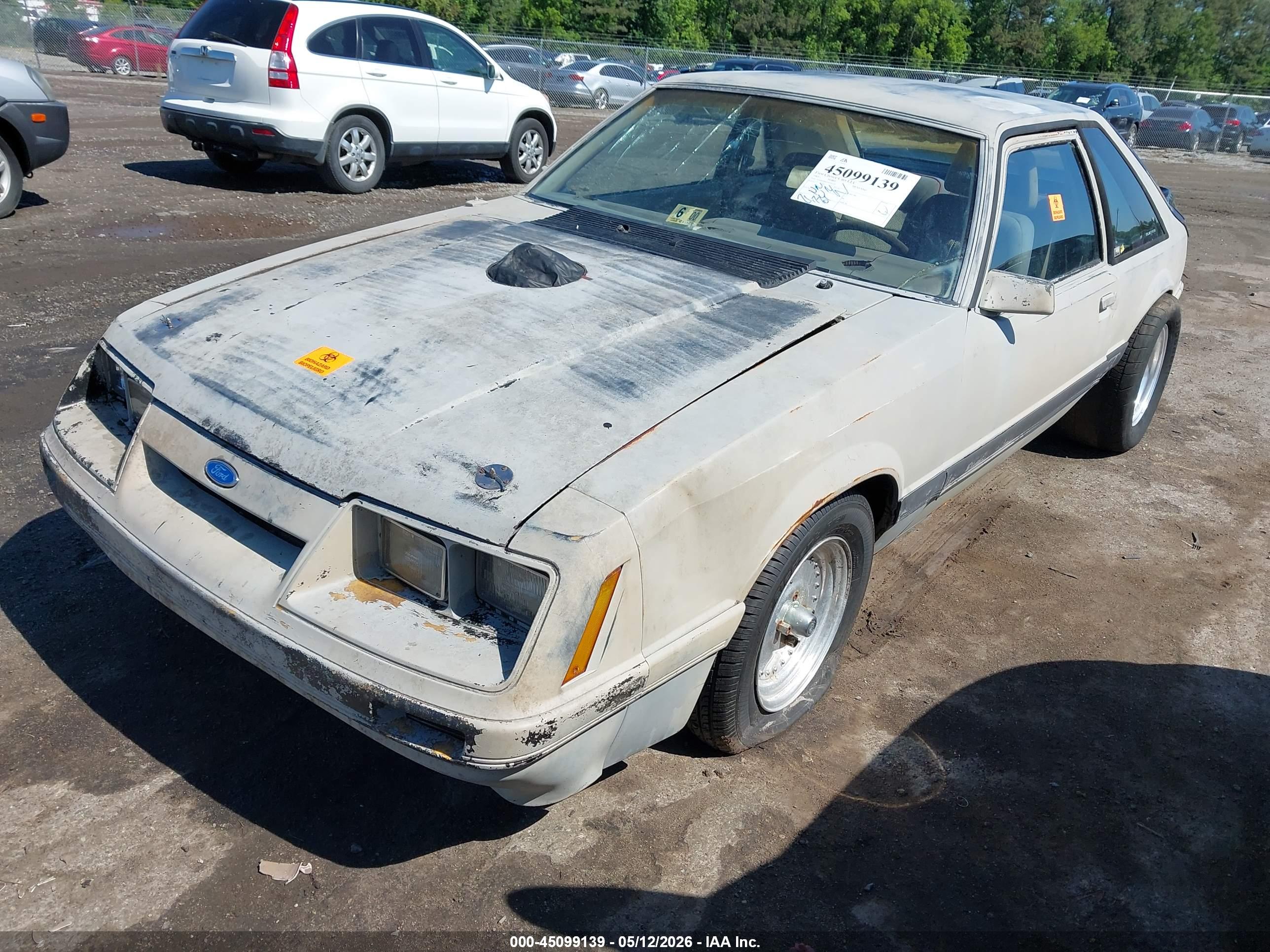 FORD MUSTANG image 6