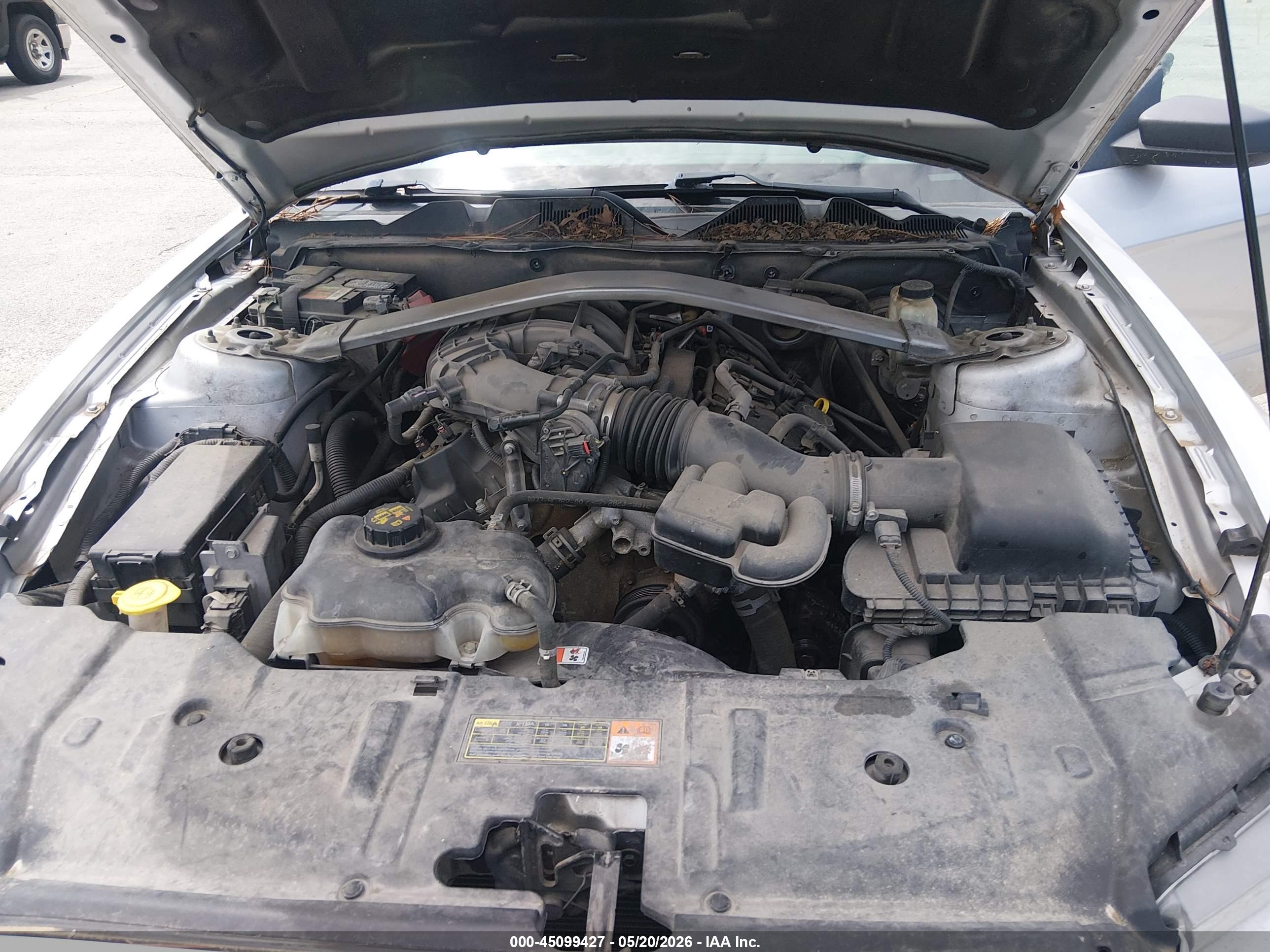 FORD MUSTANG image 10