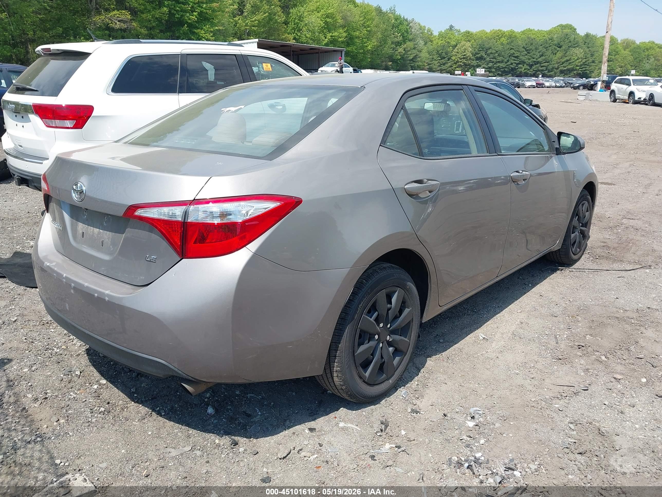 TOYOTA COROLLA image 4
