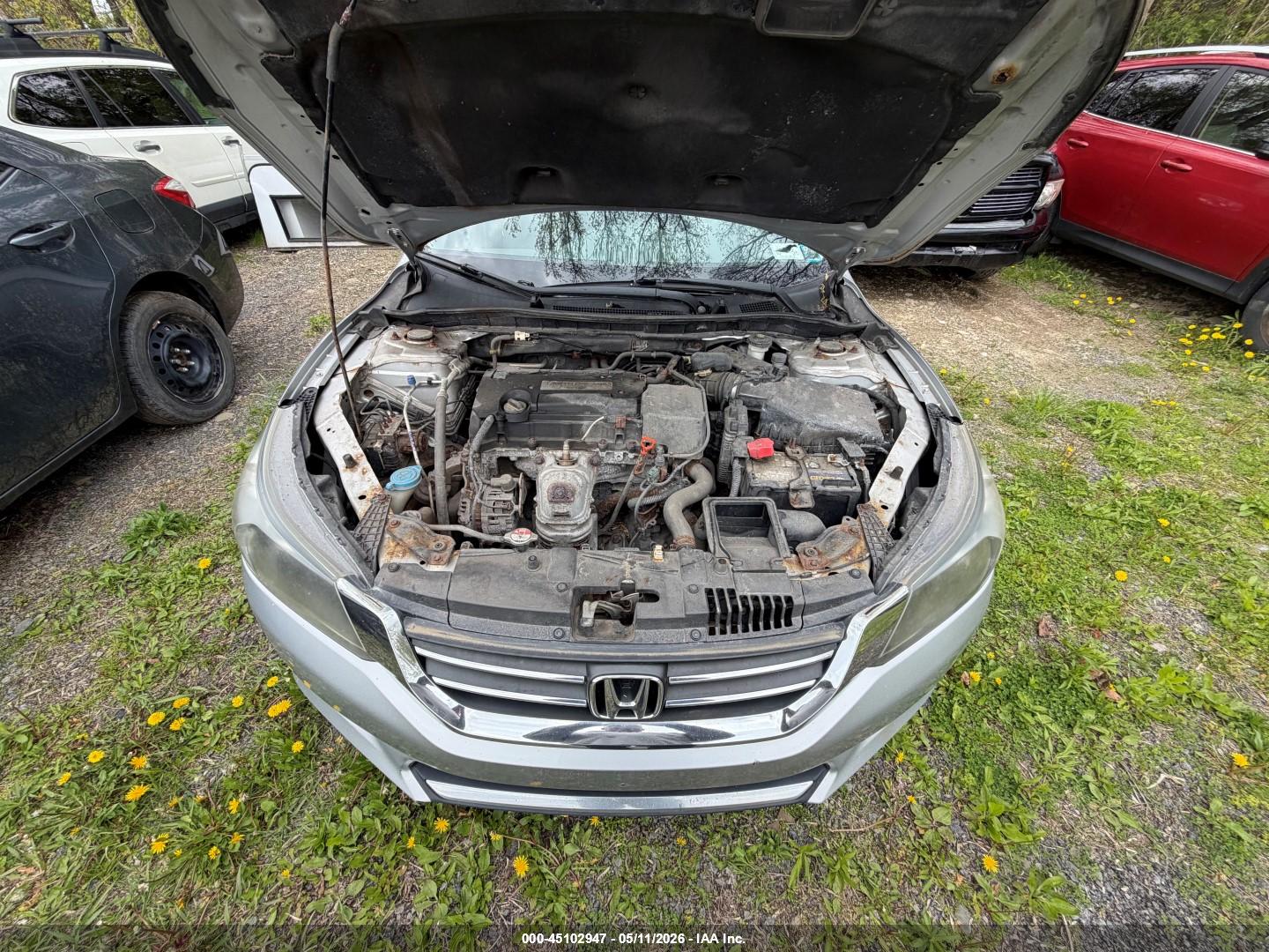 HONDA ACCORD image 10