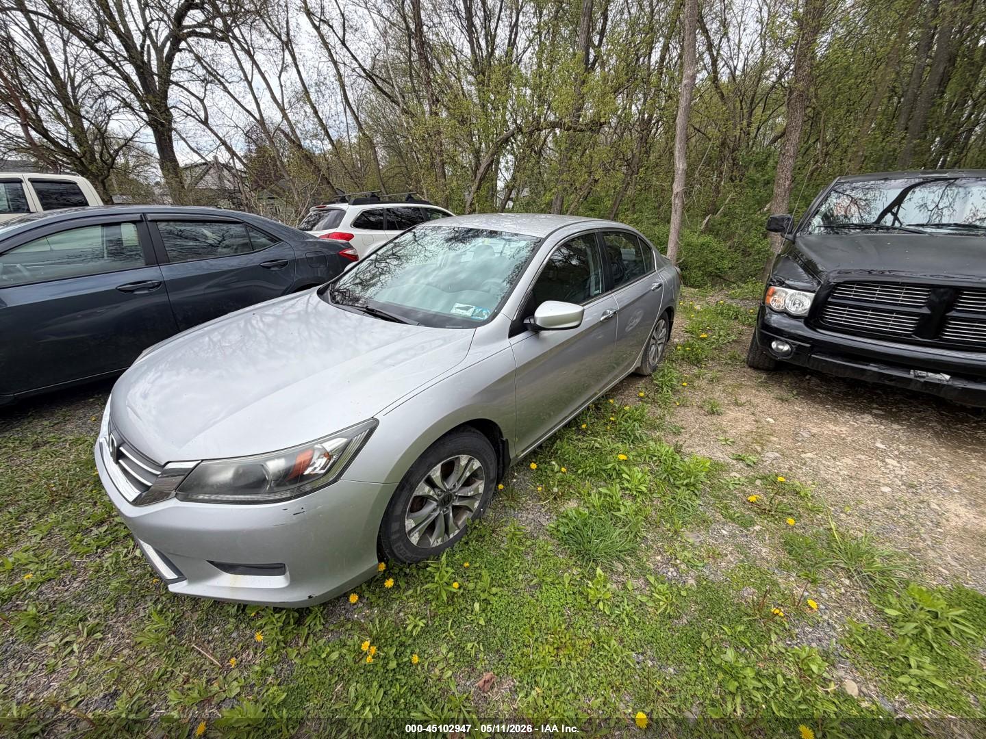 HONDA ACCORD image 2