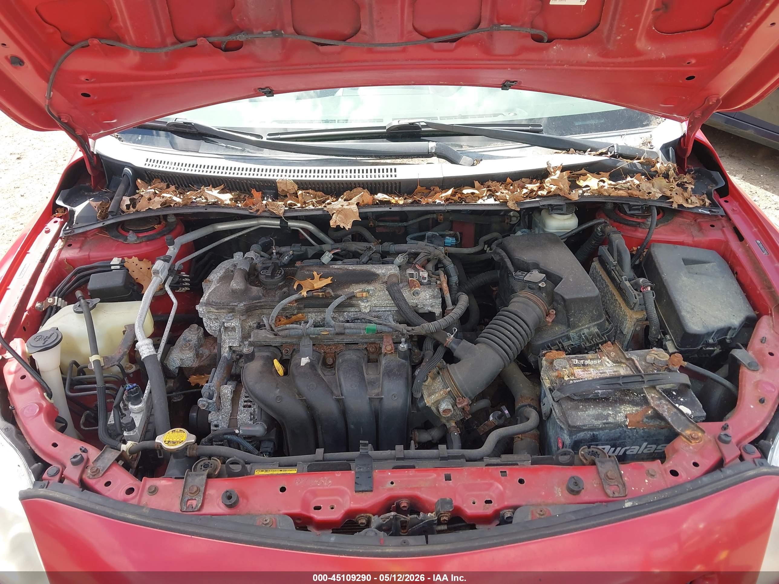 TOYOTA COROLLA image 10