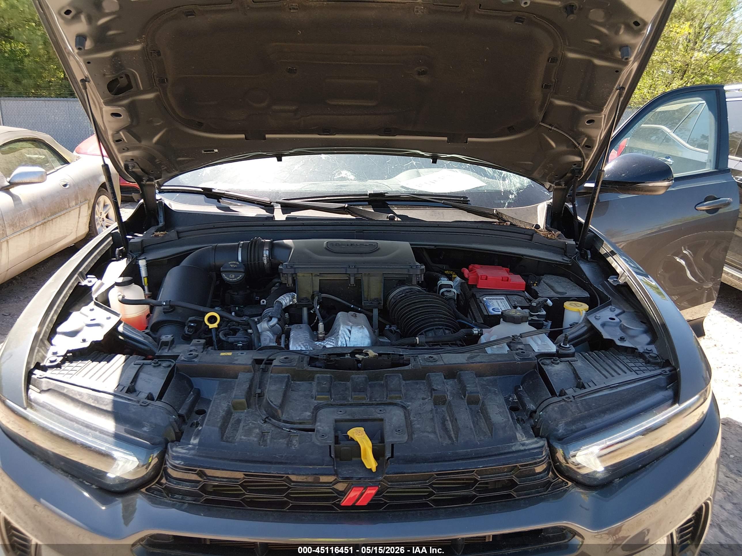 DODGE HORNET image 10
