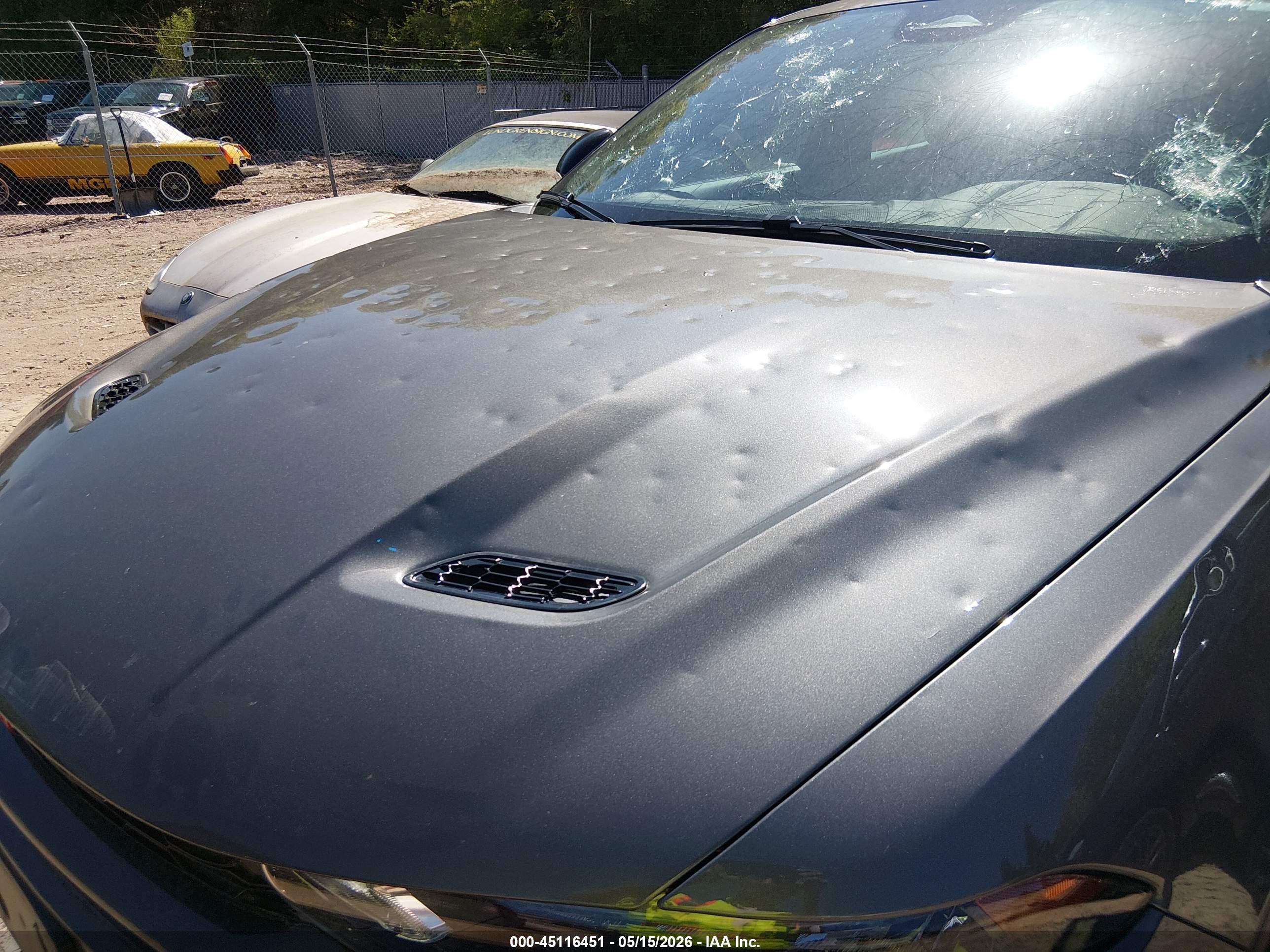 DODGE HORNET image 6