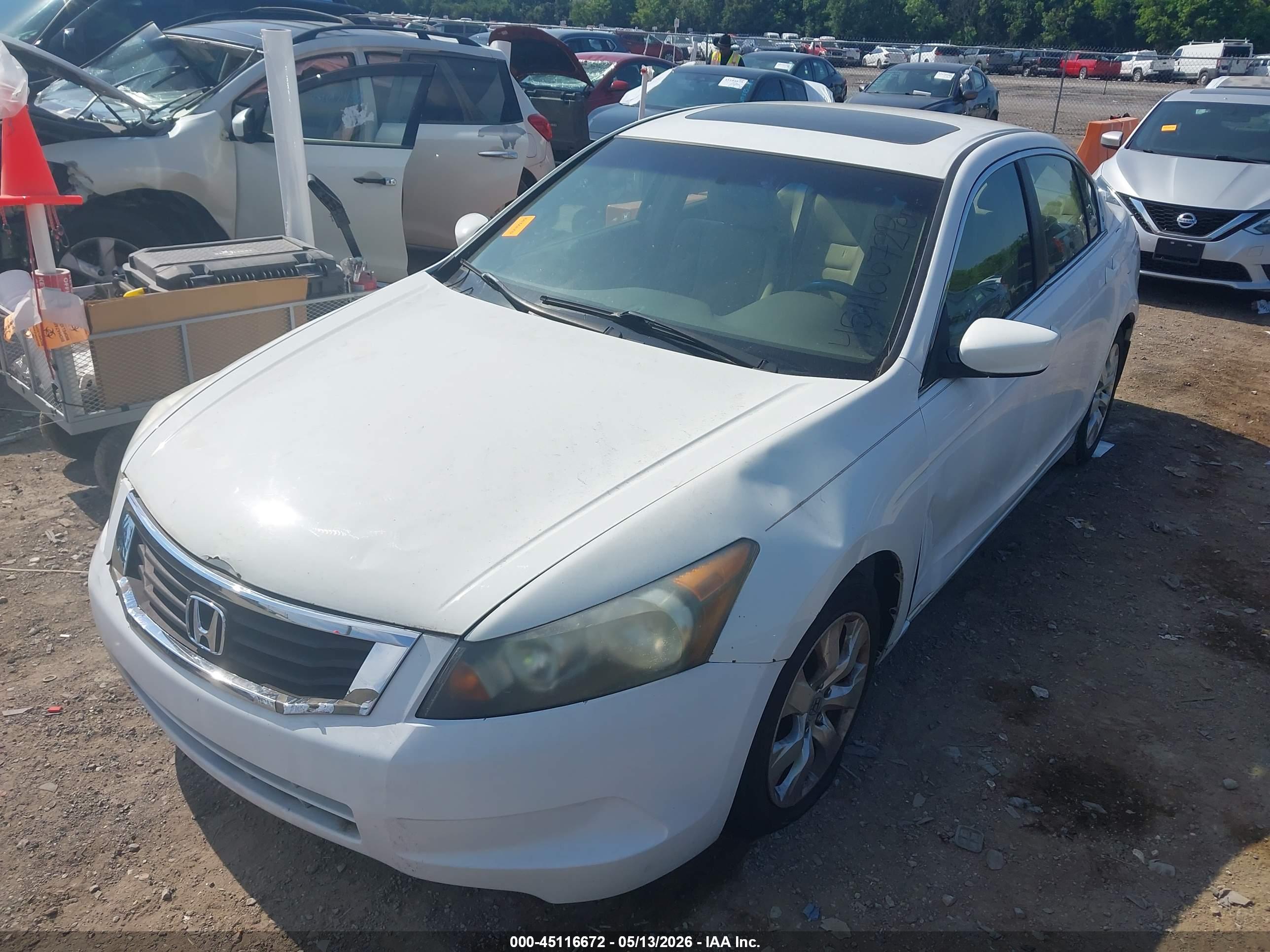 HONDA ACCORD image 6