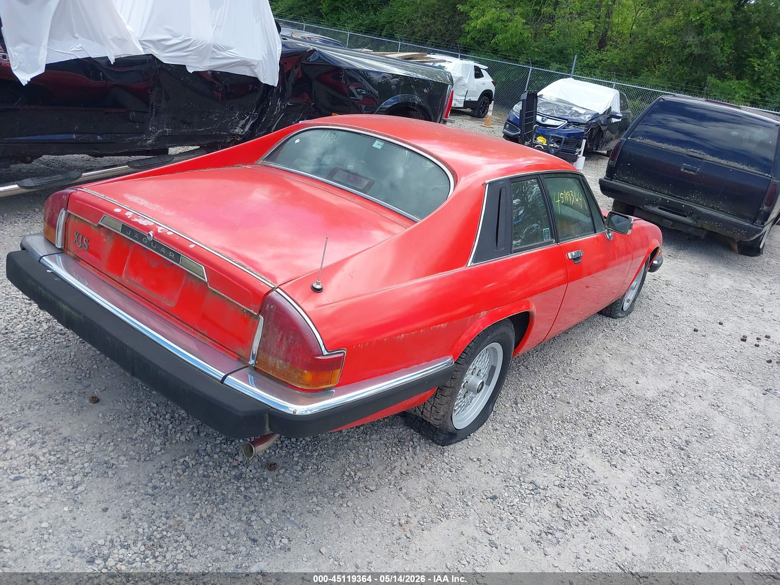 JAGUAR XJS image 4