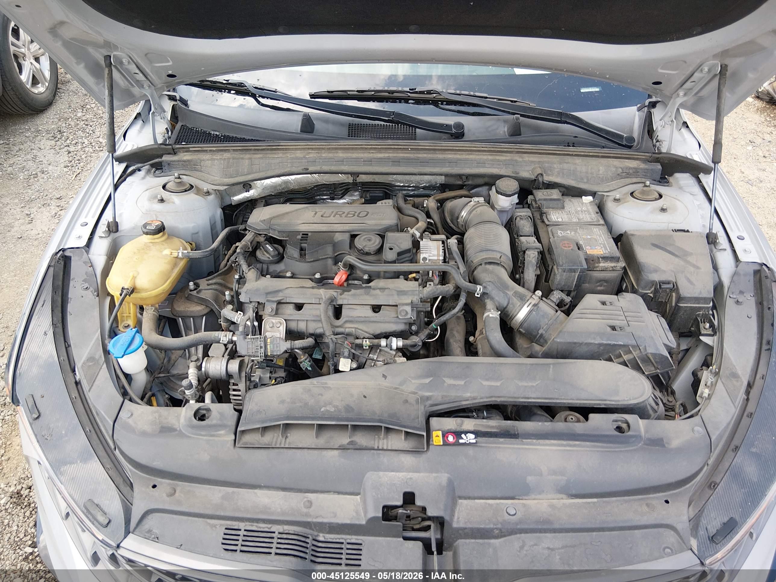 KIA K5 image 10