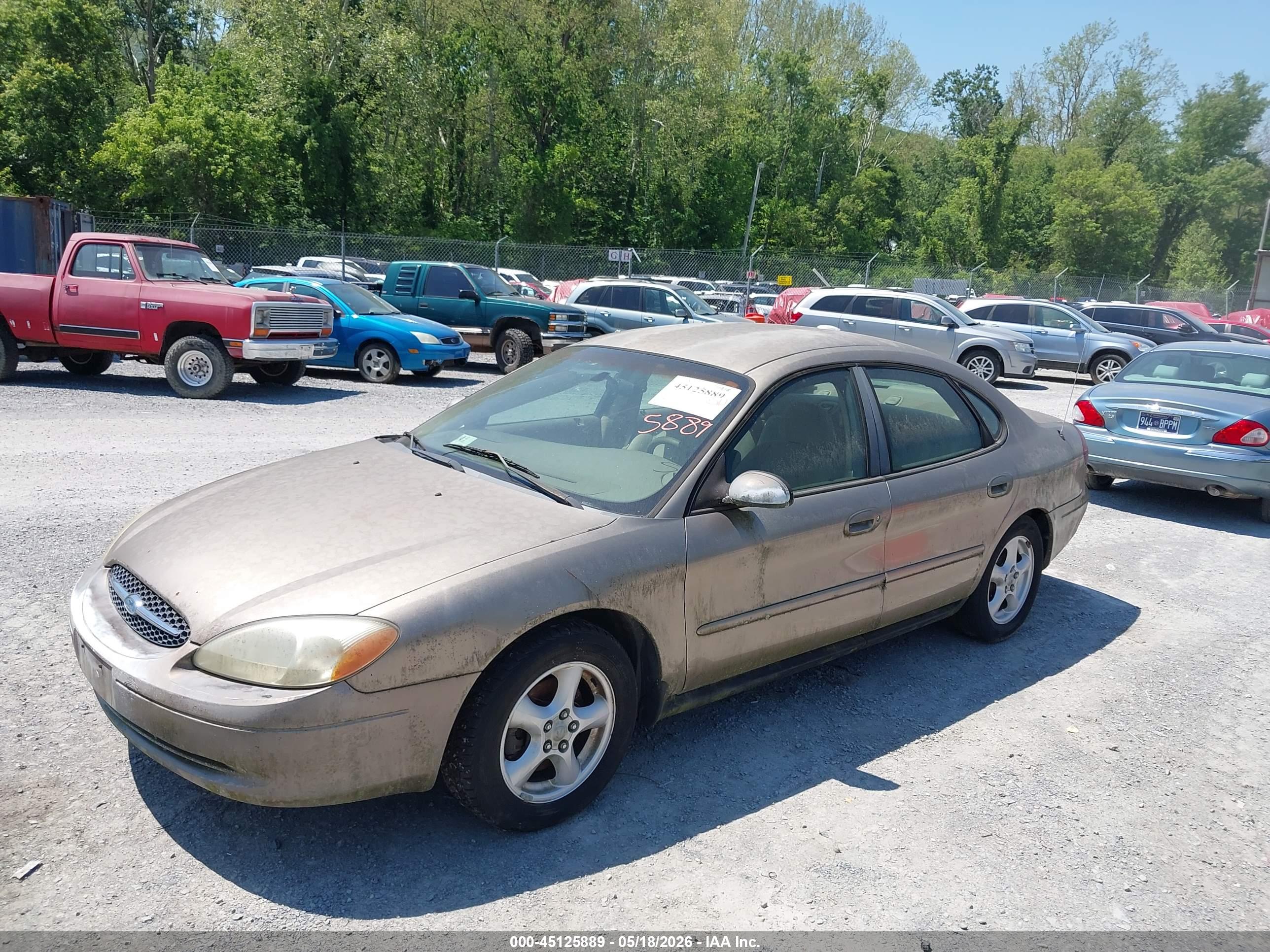 FORD TAURUS image 2